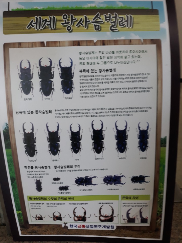 꿈애곤충농원