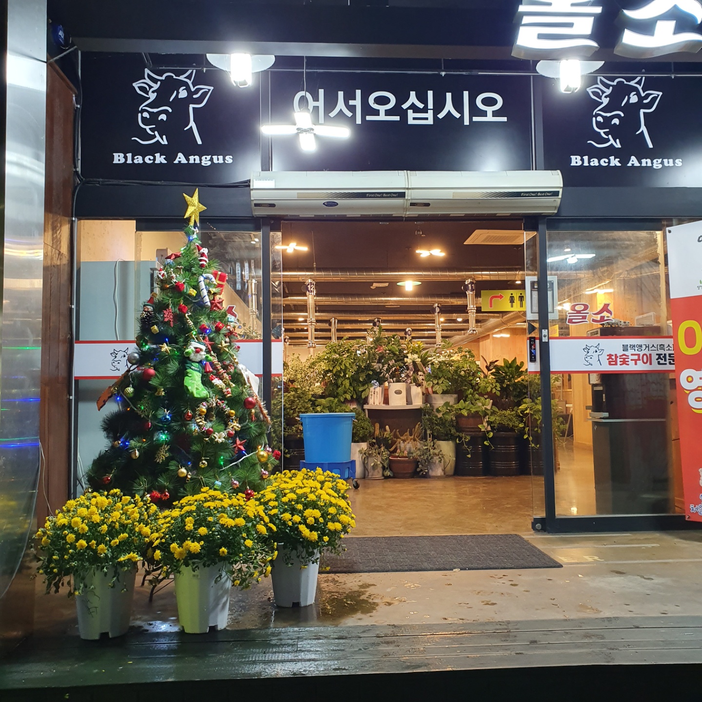 올소