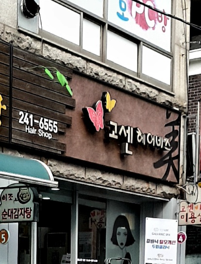 고센헤어비스