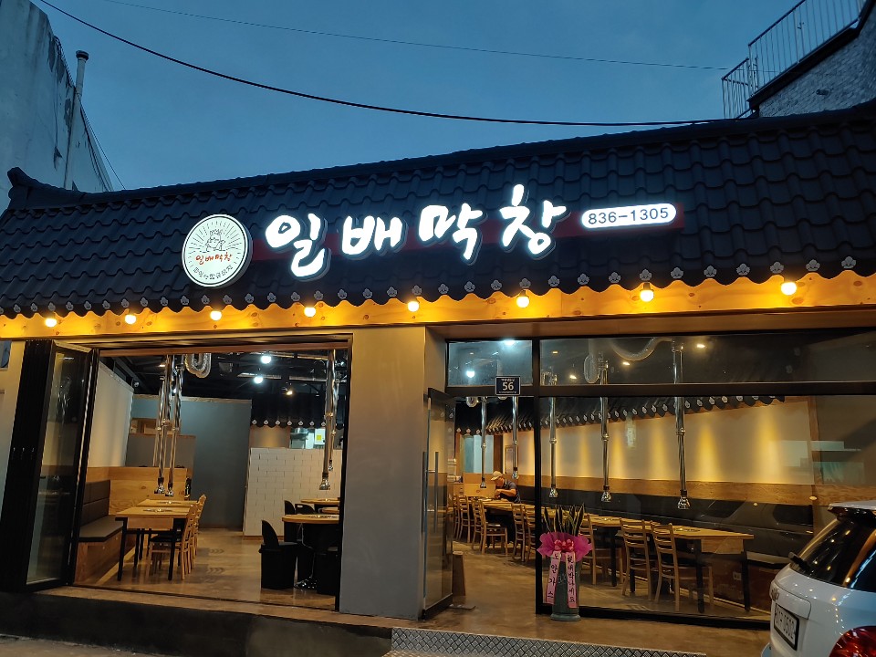 일배막창
