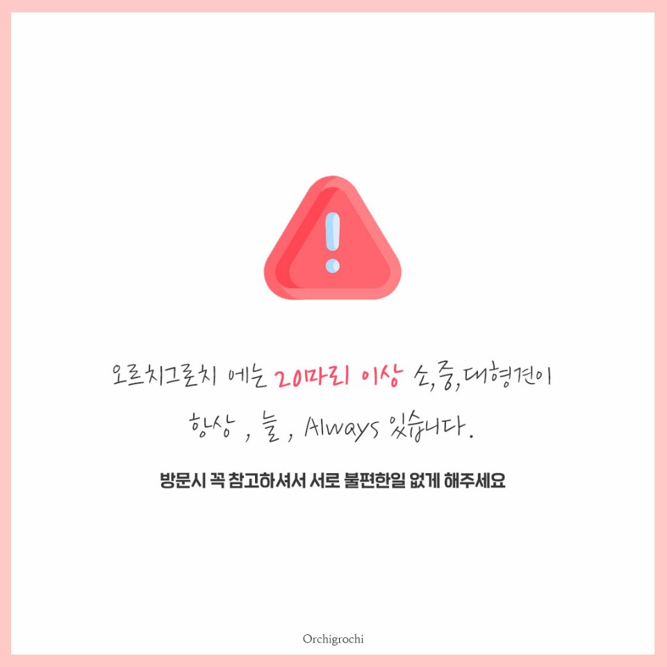 오르치그로치 대표 이미지