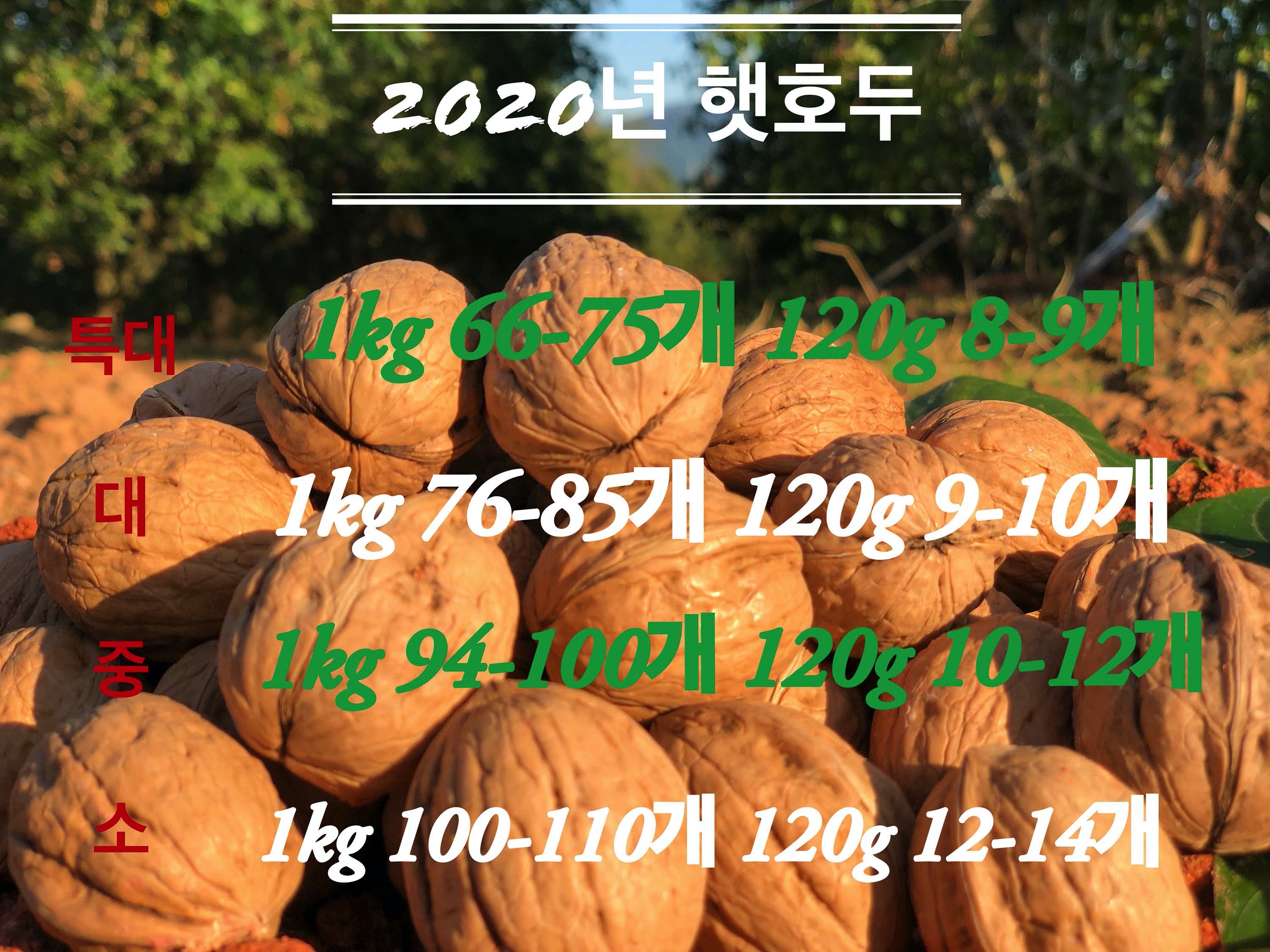 황토호두농원