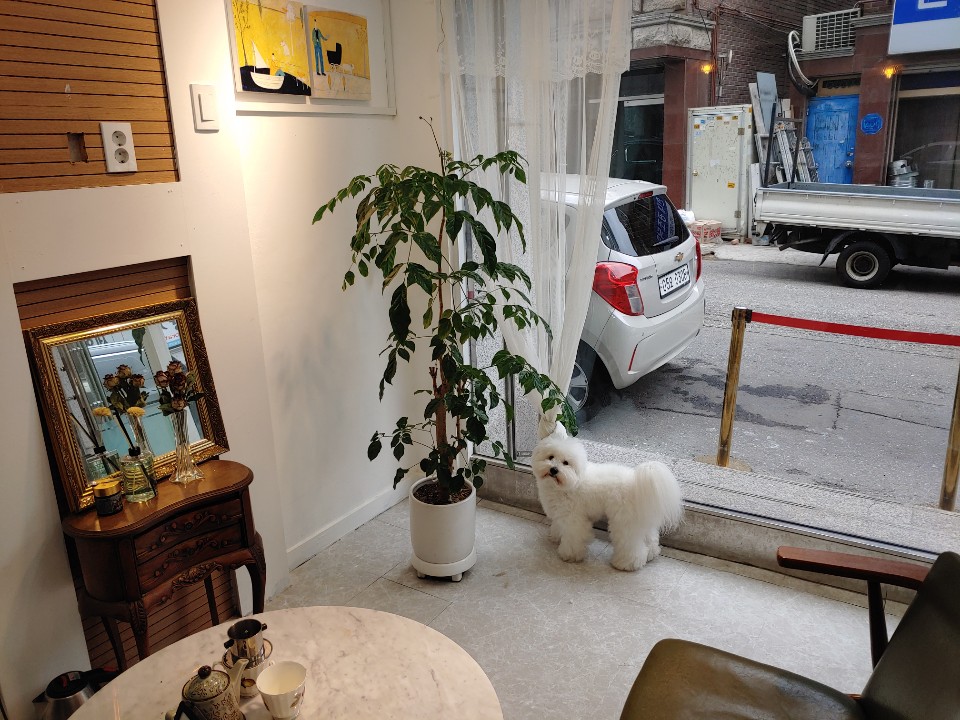 쓰담쓰담 대표 이미지