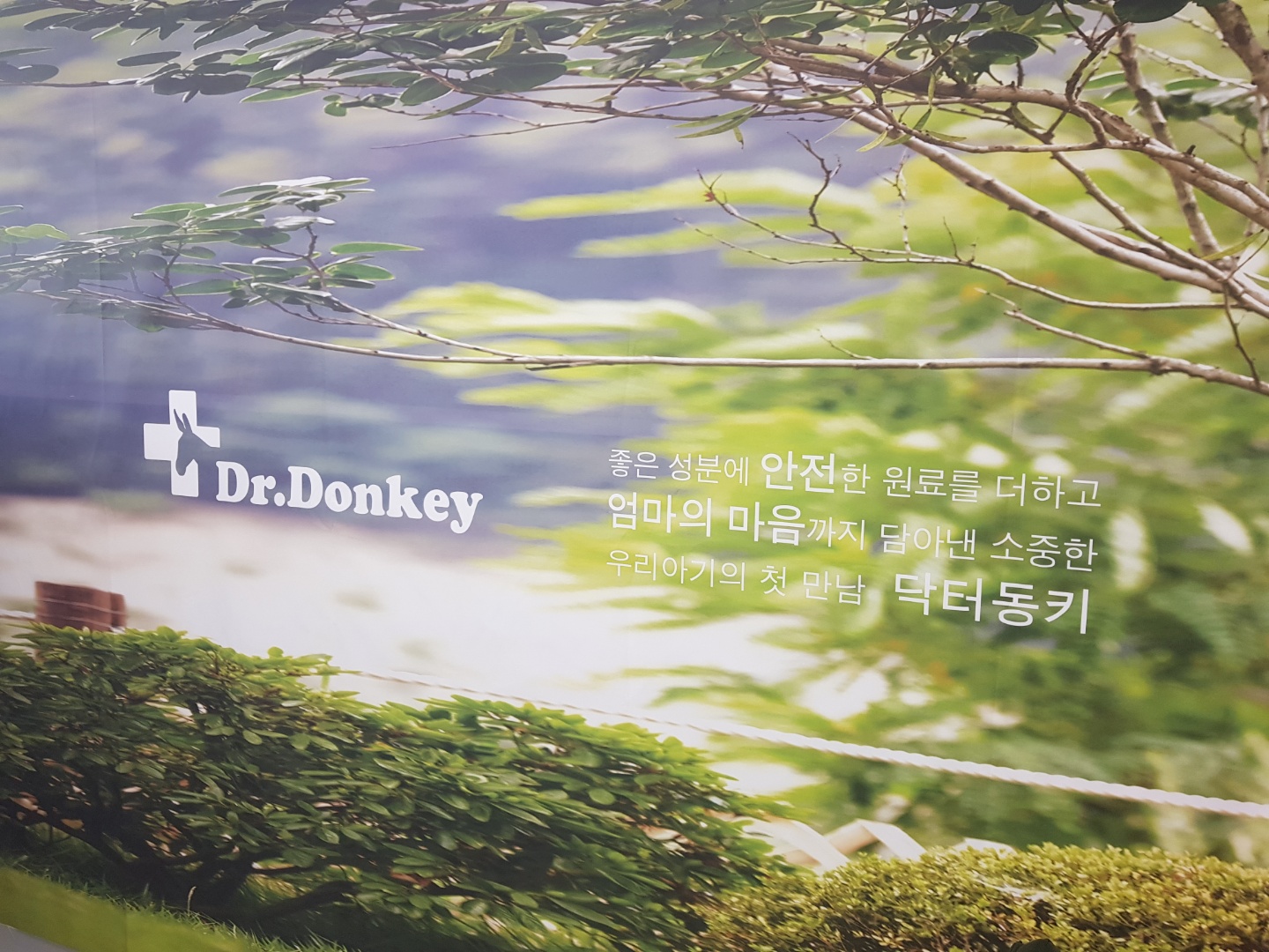 휘게네이처 닥터동키