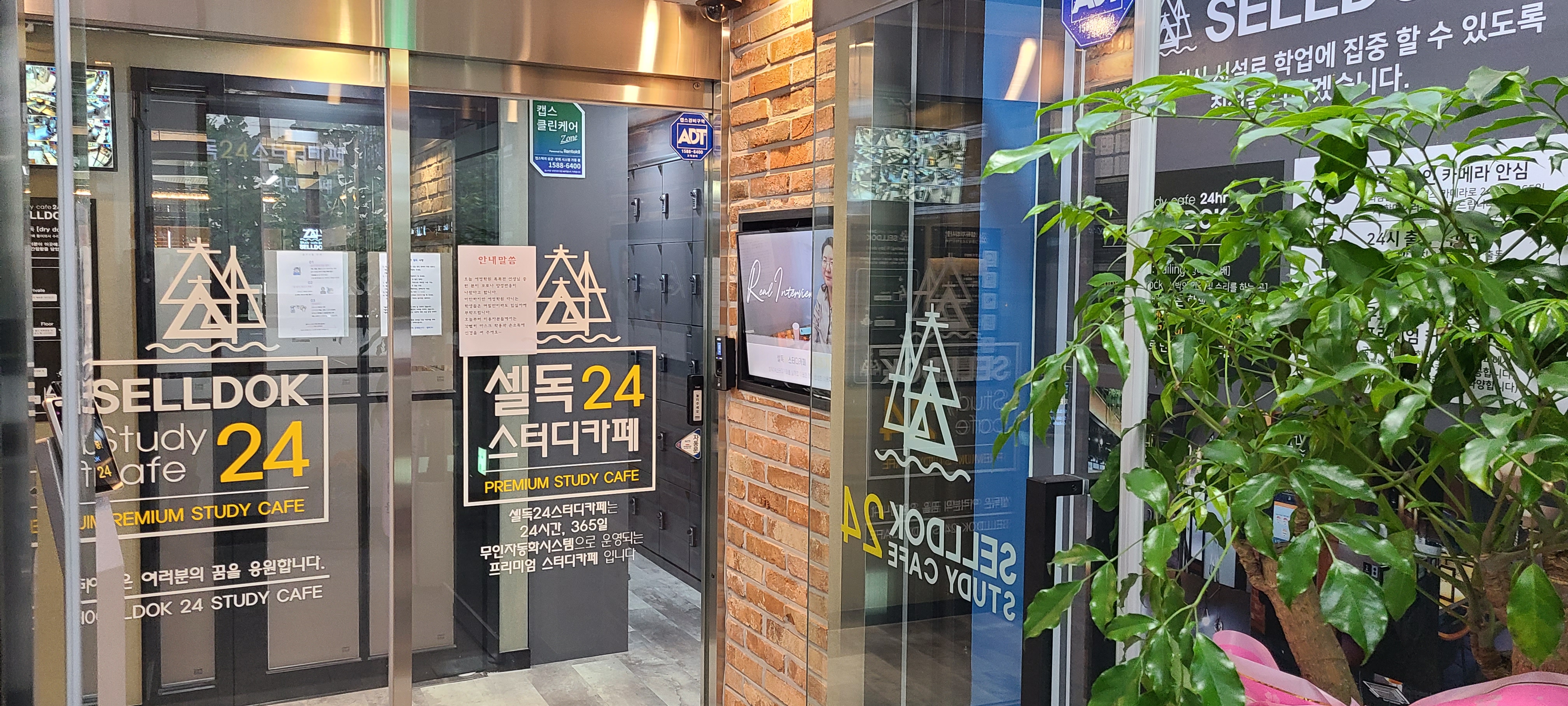 셀독24스터디카페 도곡점