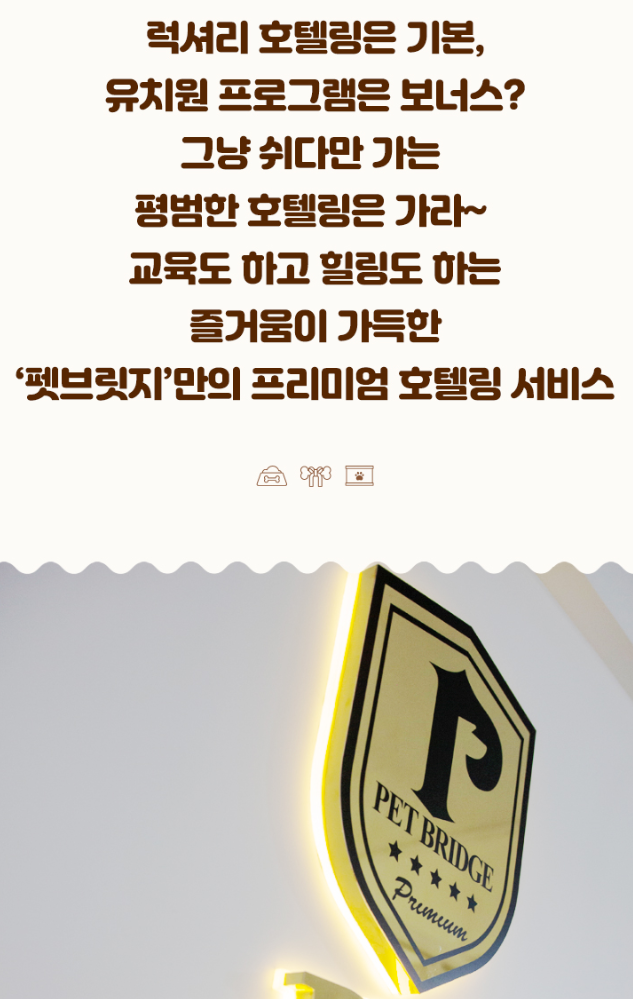 펫브릿지호텔 미용 유치원 놀이방