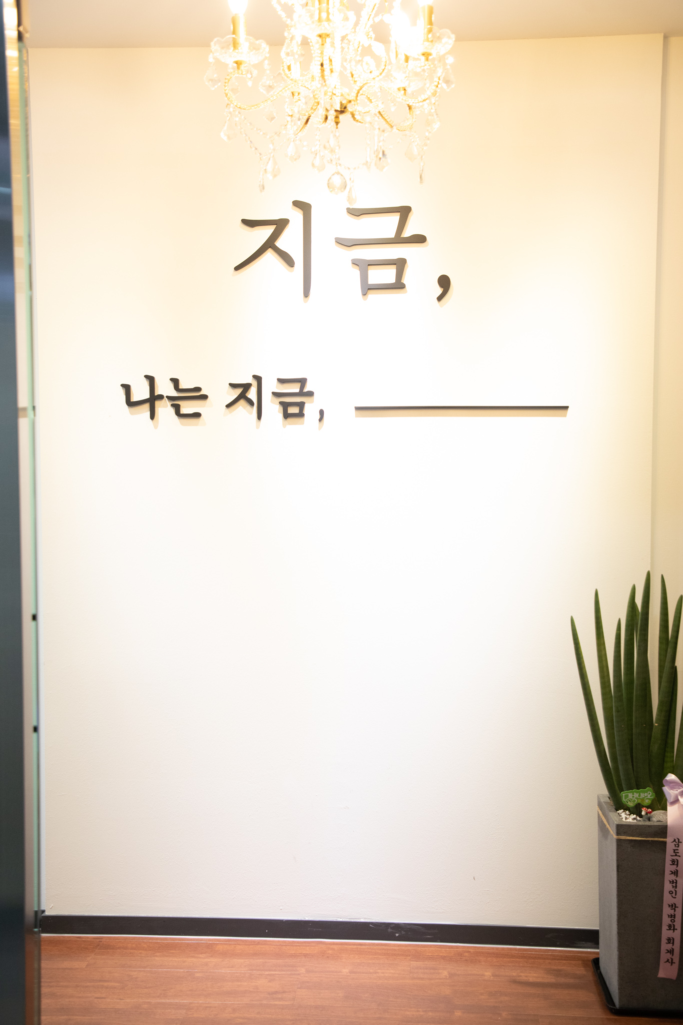 업체사진