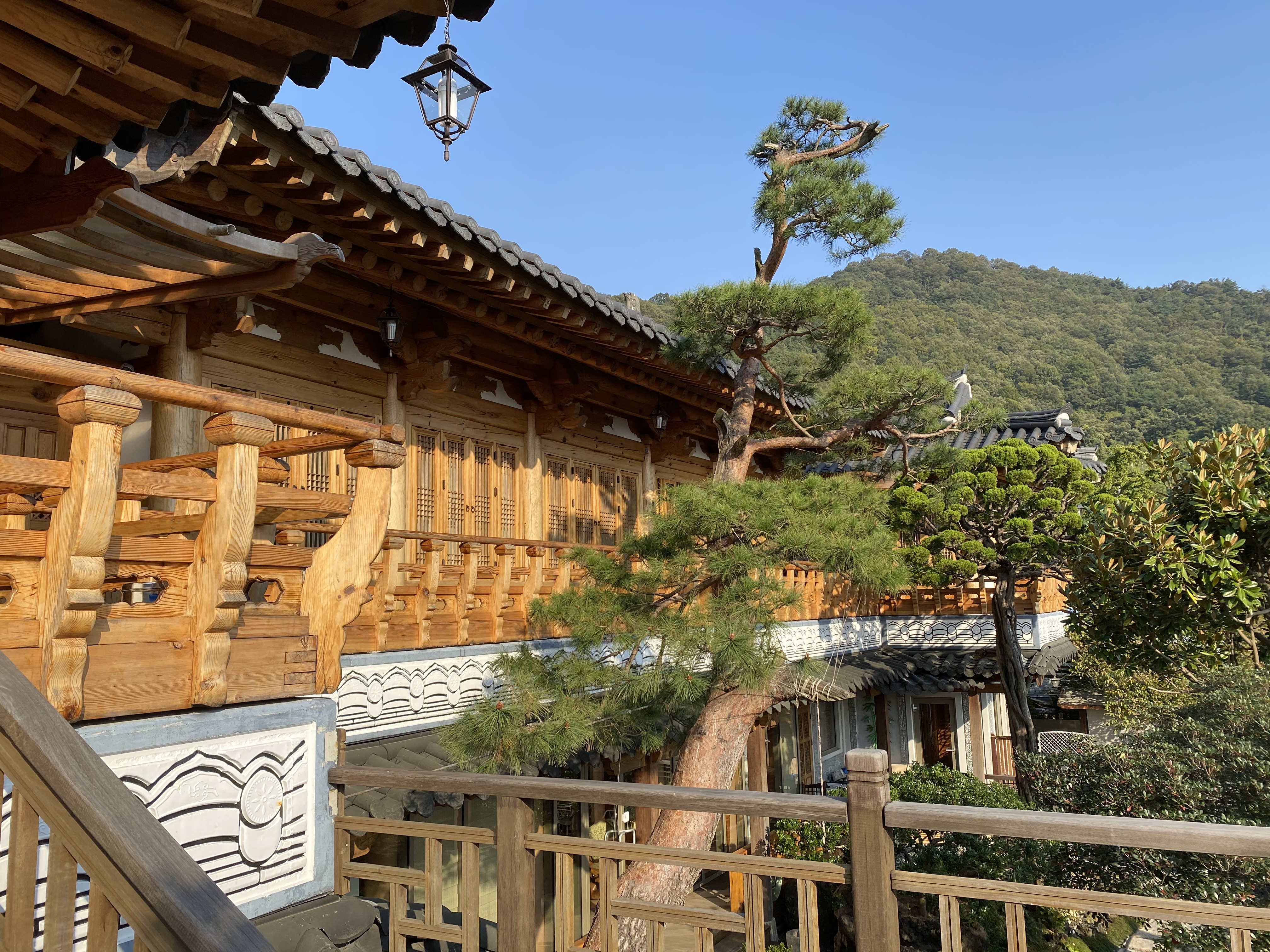 노리 설명사진