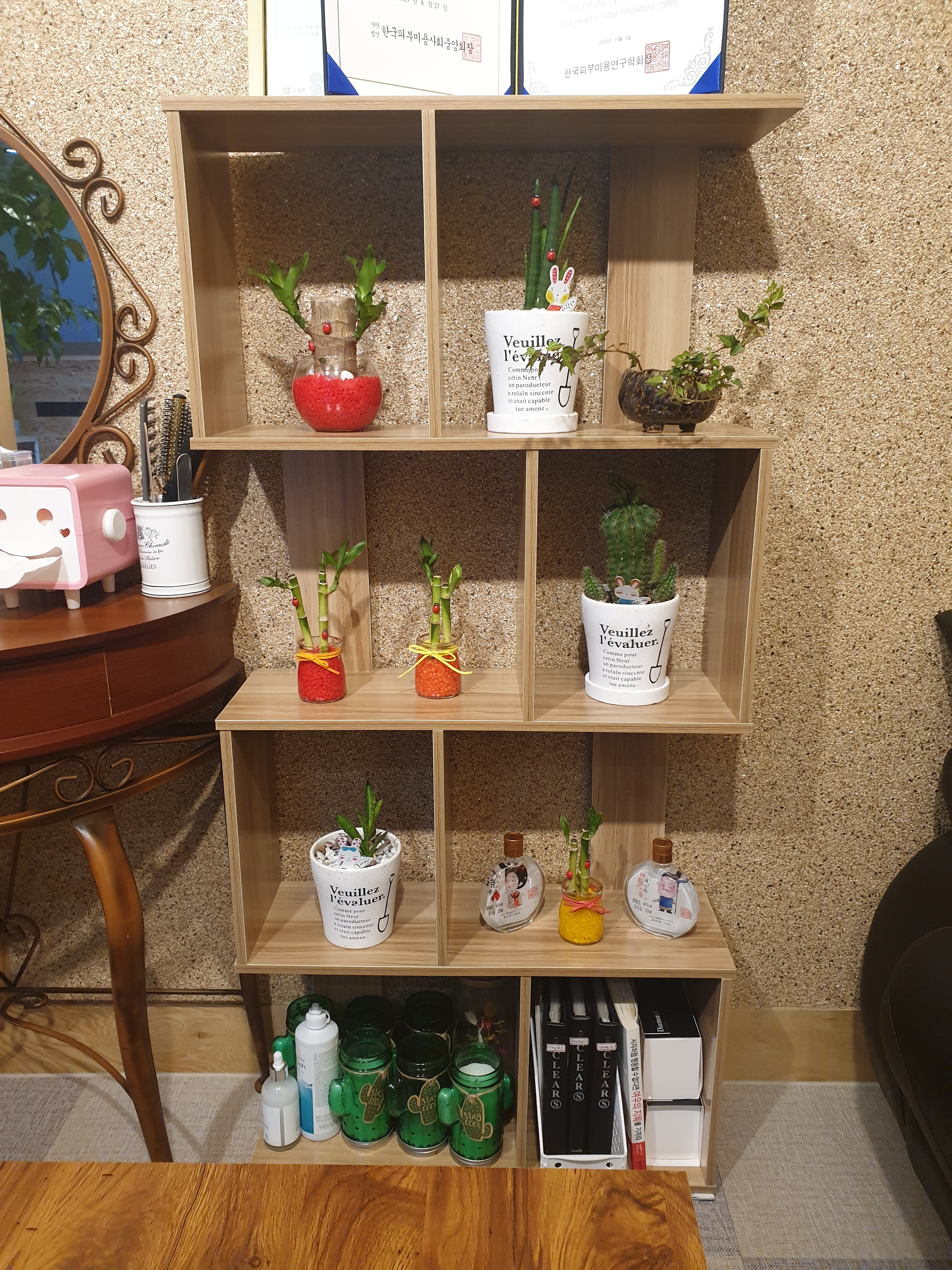 수테라피 photo 4