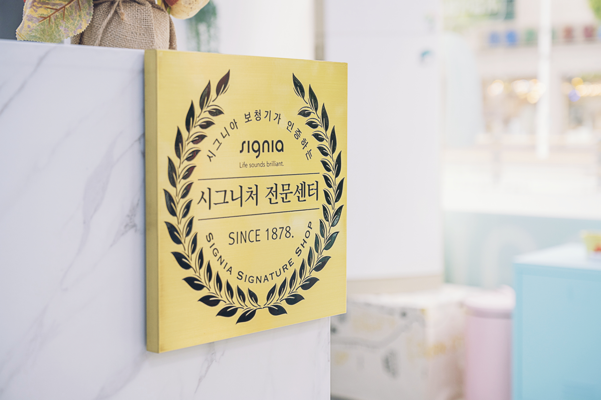 시그니아 독일보청기 경주센터 대표 이미지