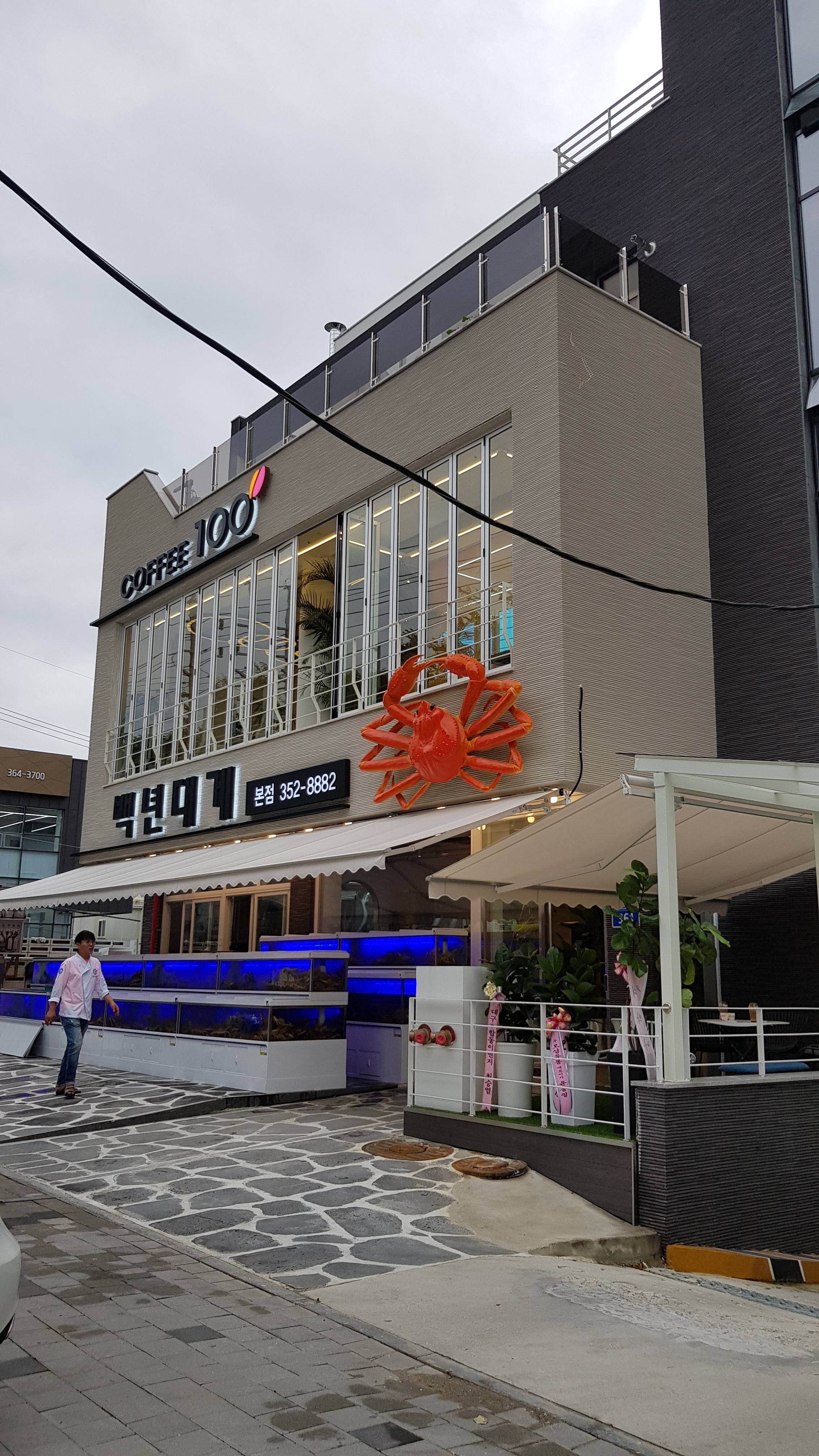 백년대게