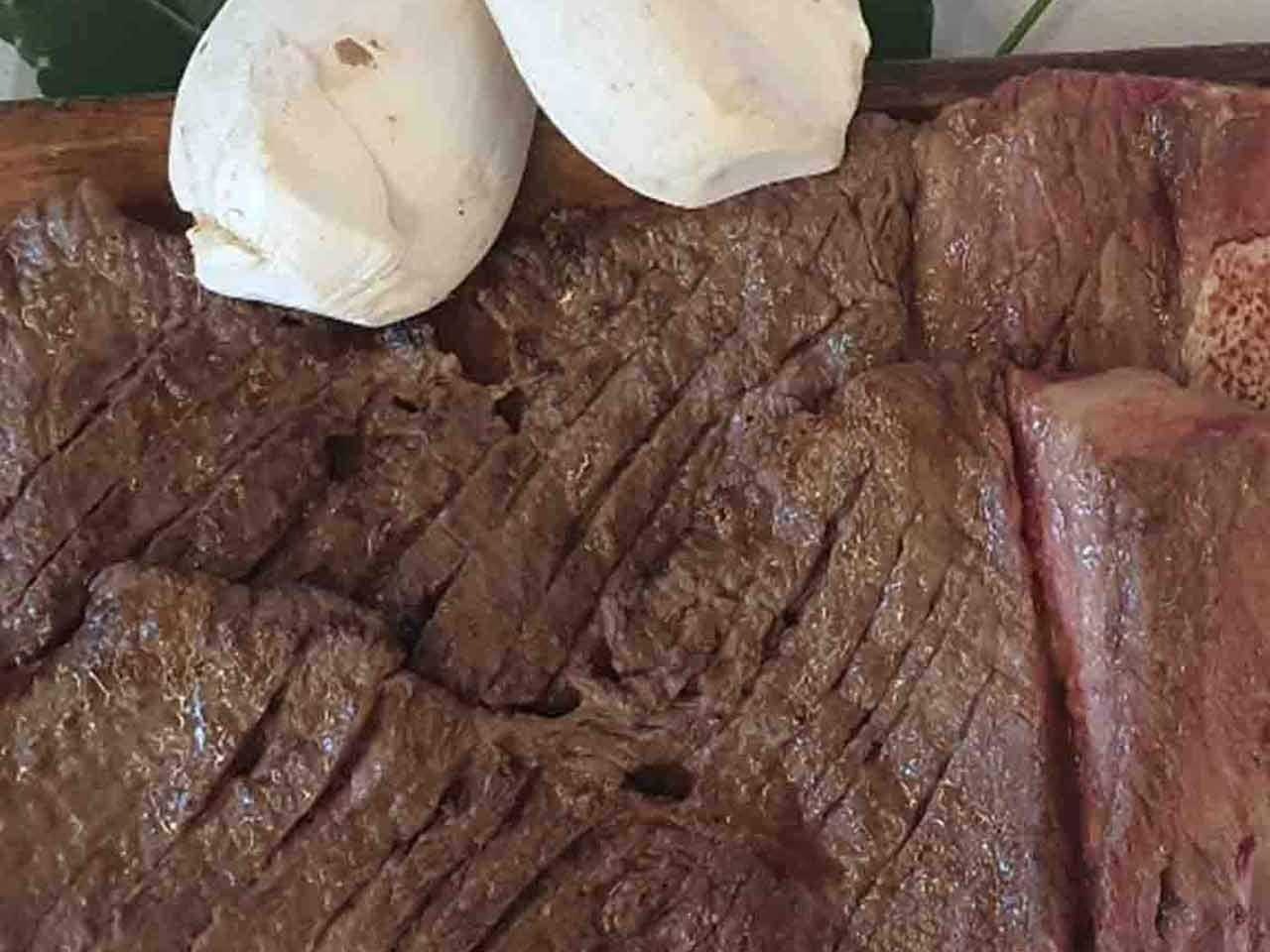 육팩트타운 경기 애견맛집