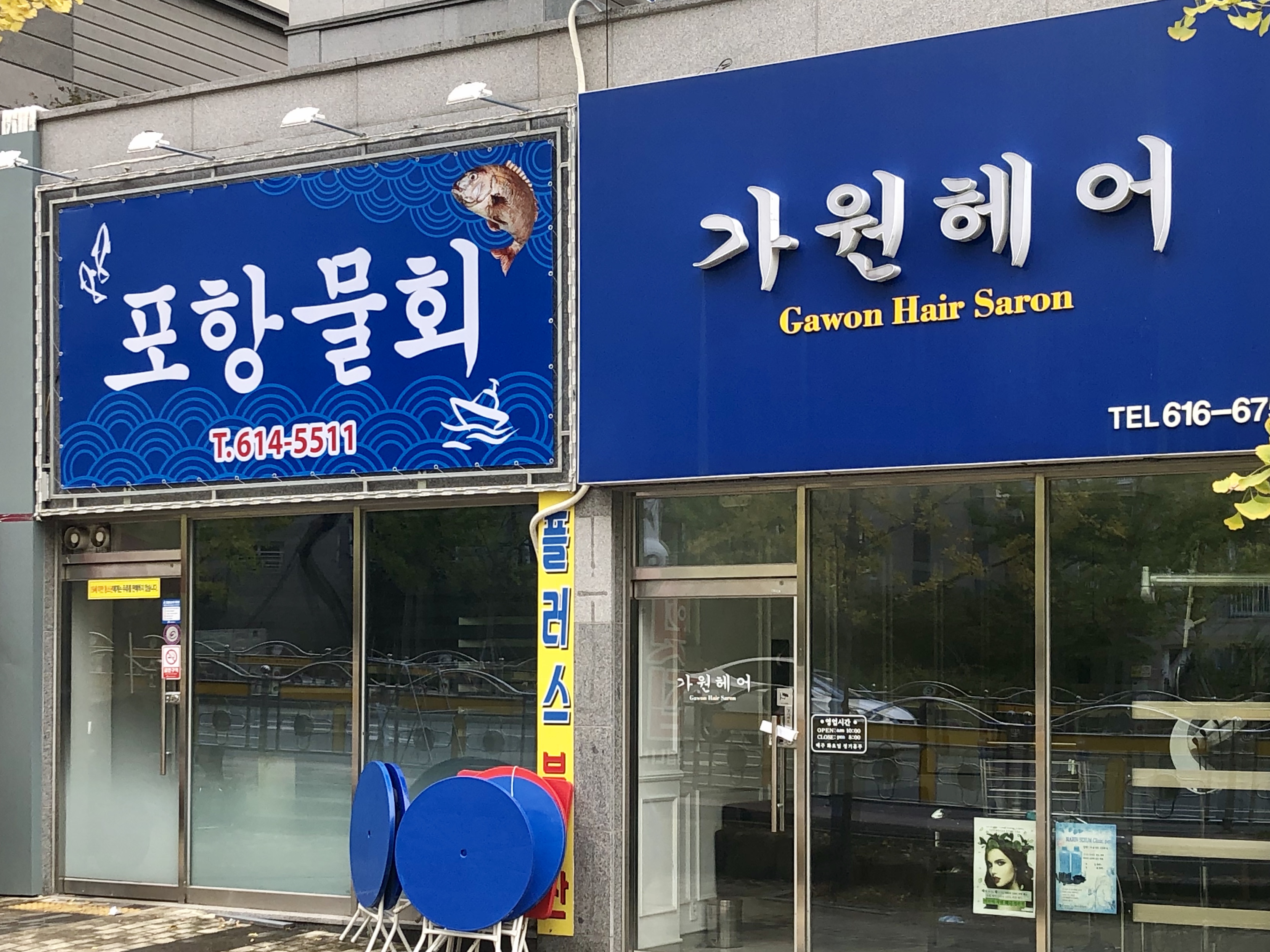 포항물회