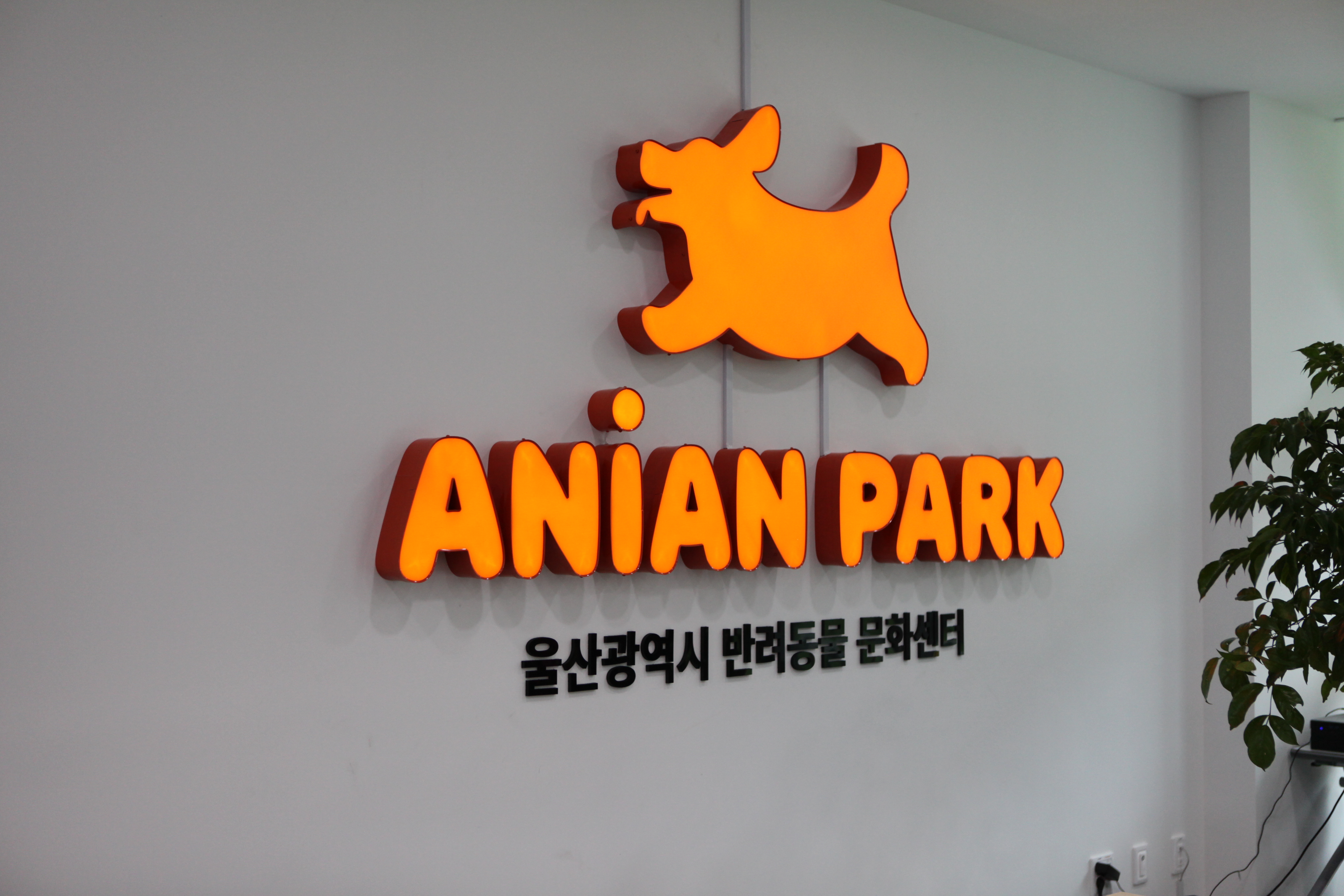 사진 3