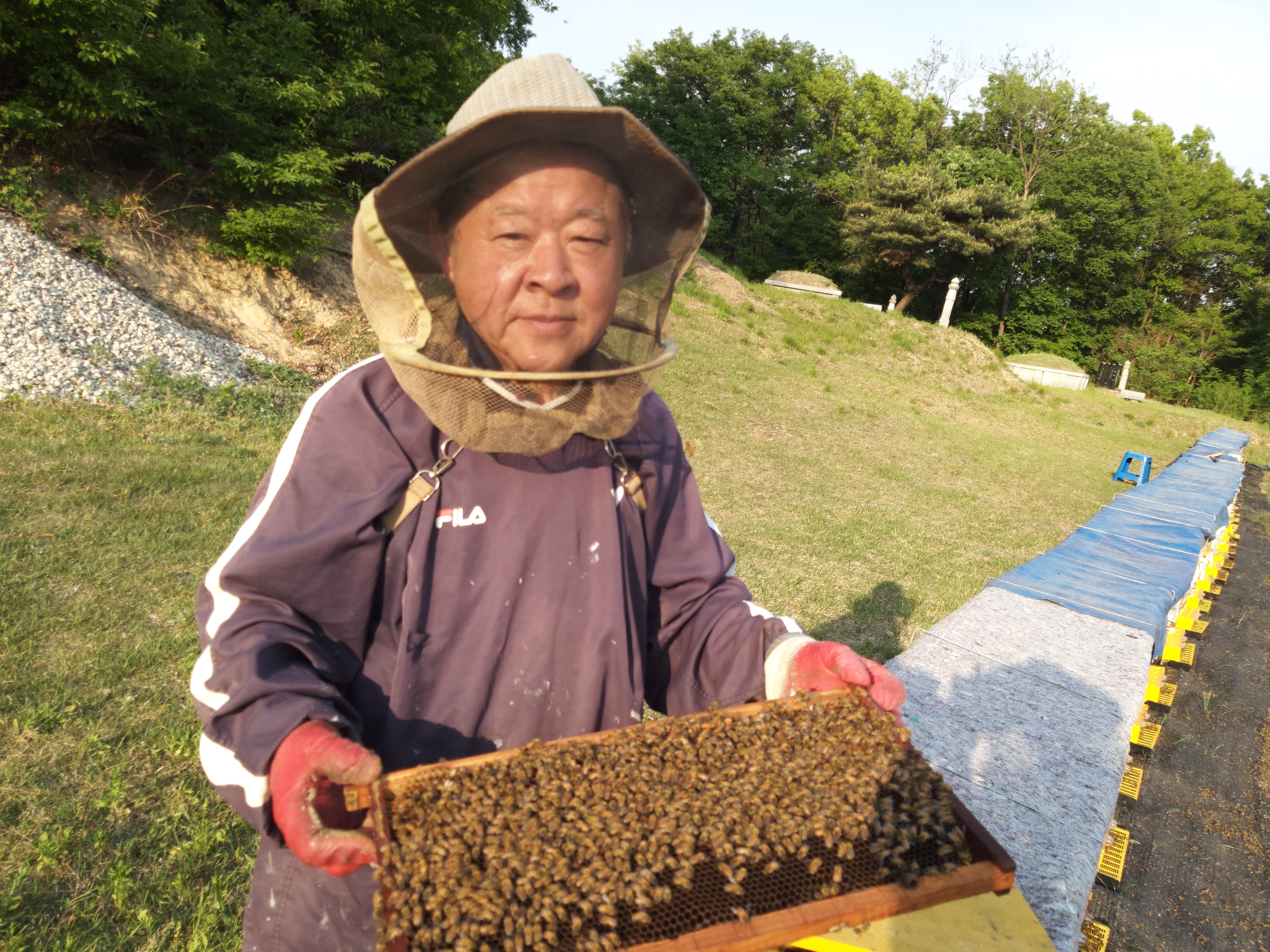대왕벌꿀농원