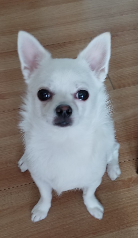 큐사랑 위너스지사 대표 이미지