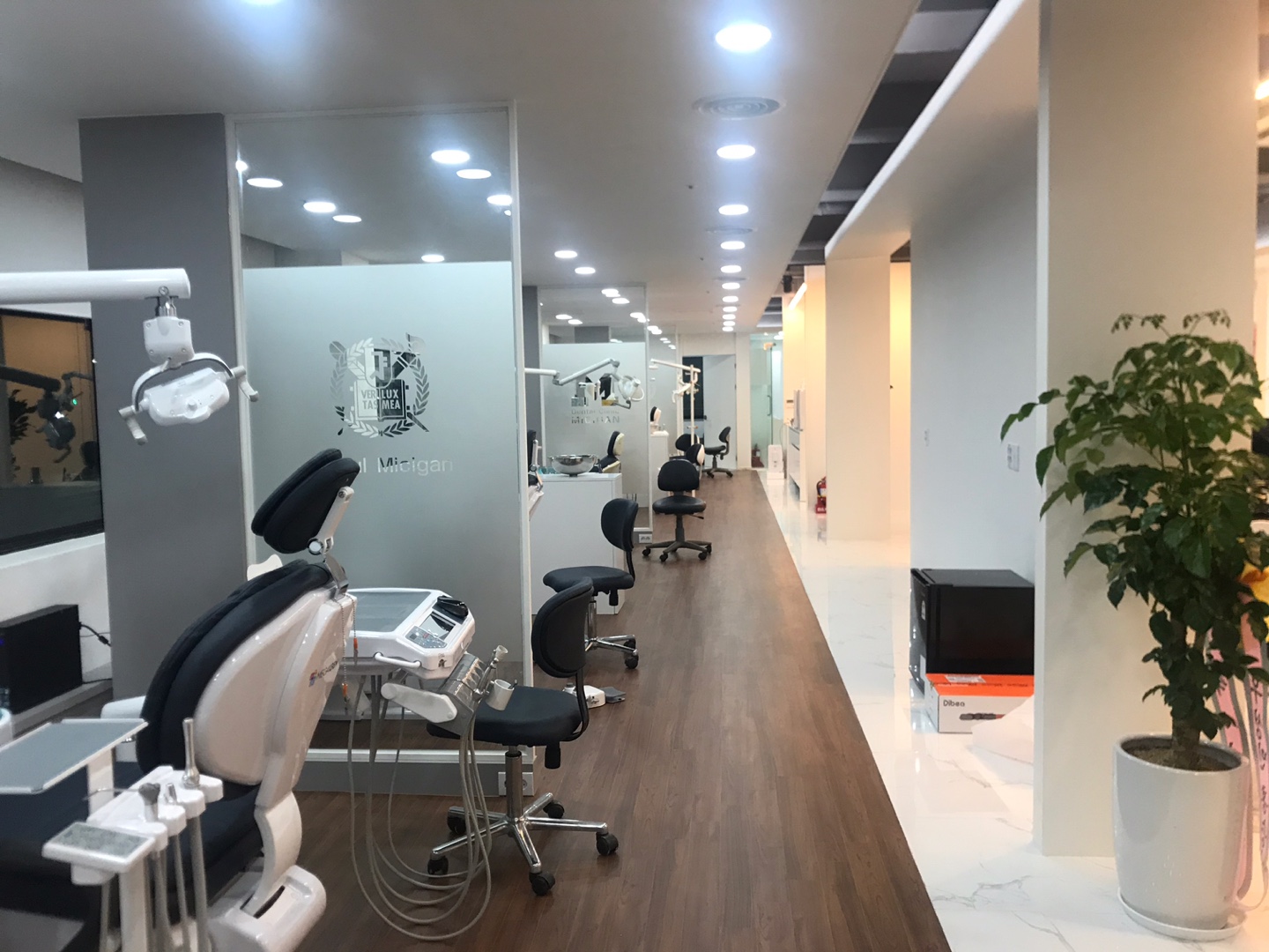 서울미시간치과의원 대표 이미지