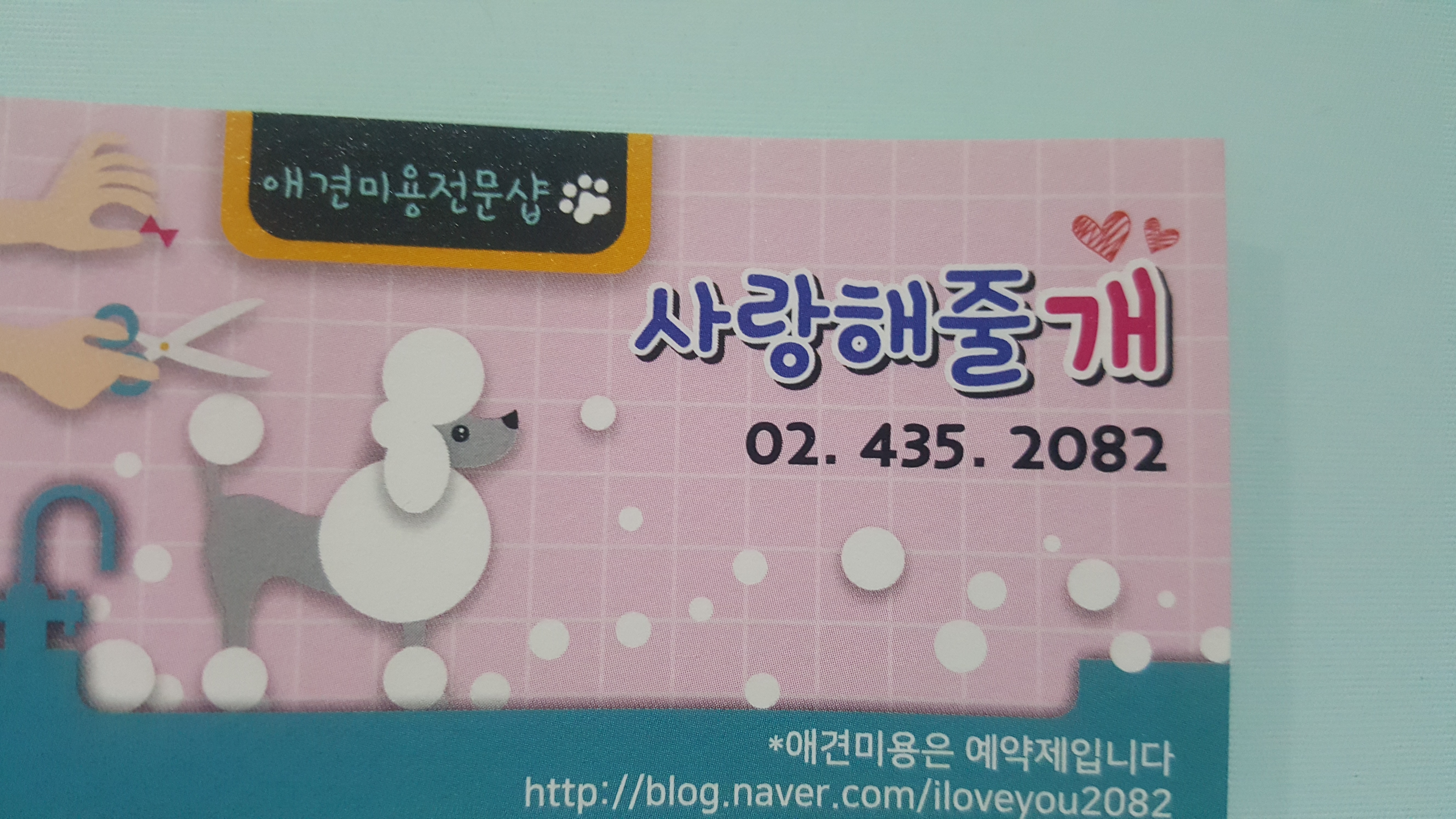 사랑해줄개 대표 이미지