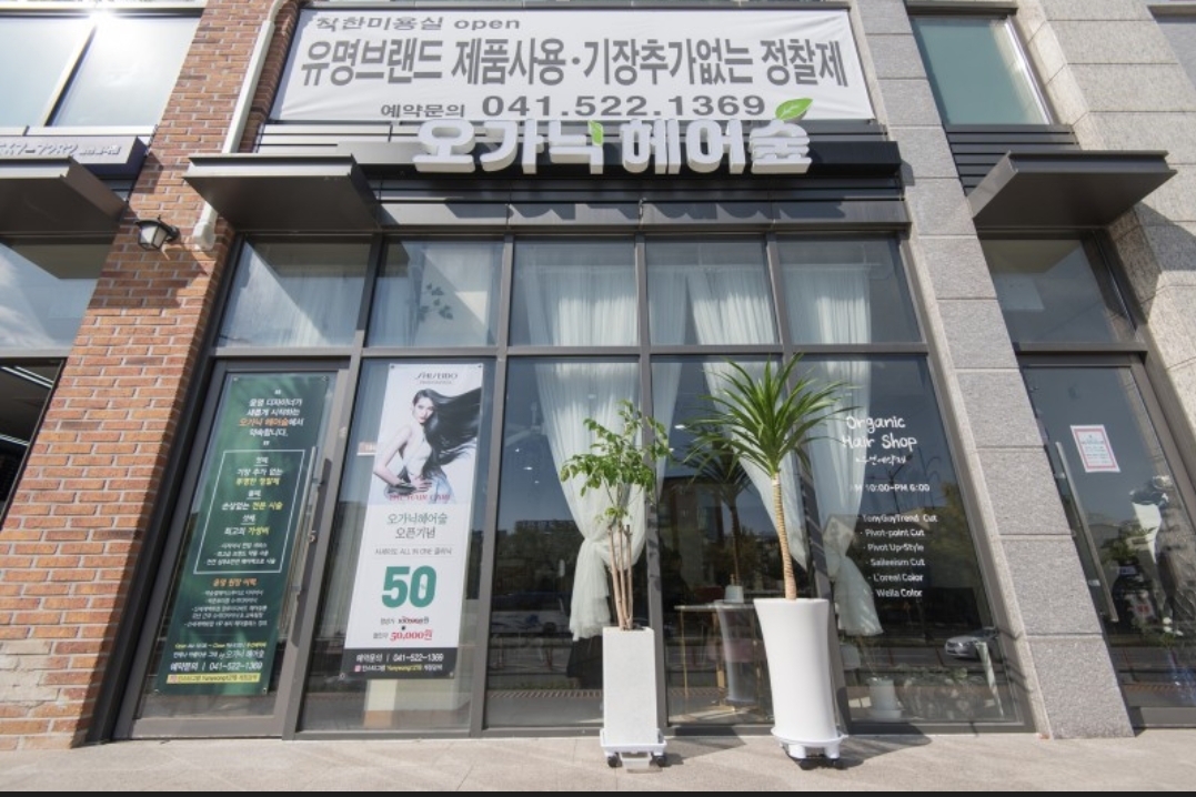 오가닉 헤어숲