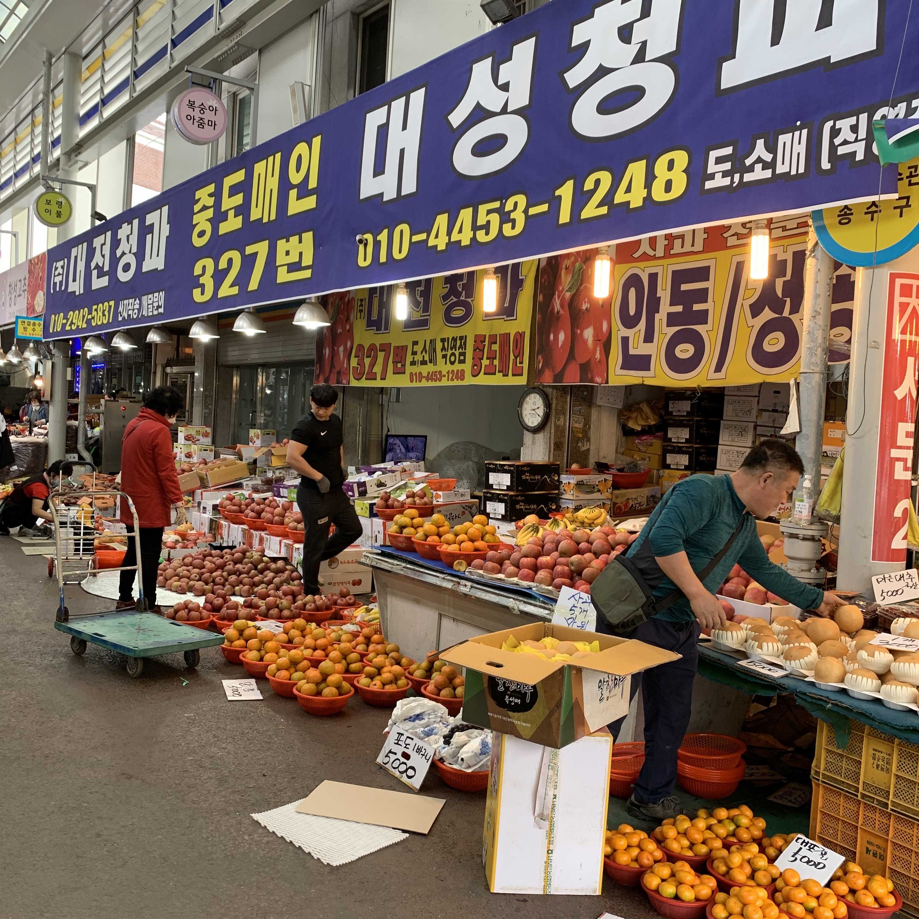 대성청과야채