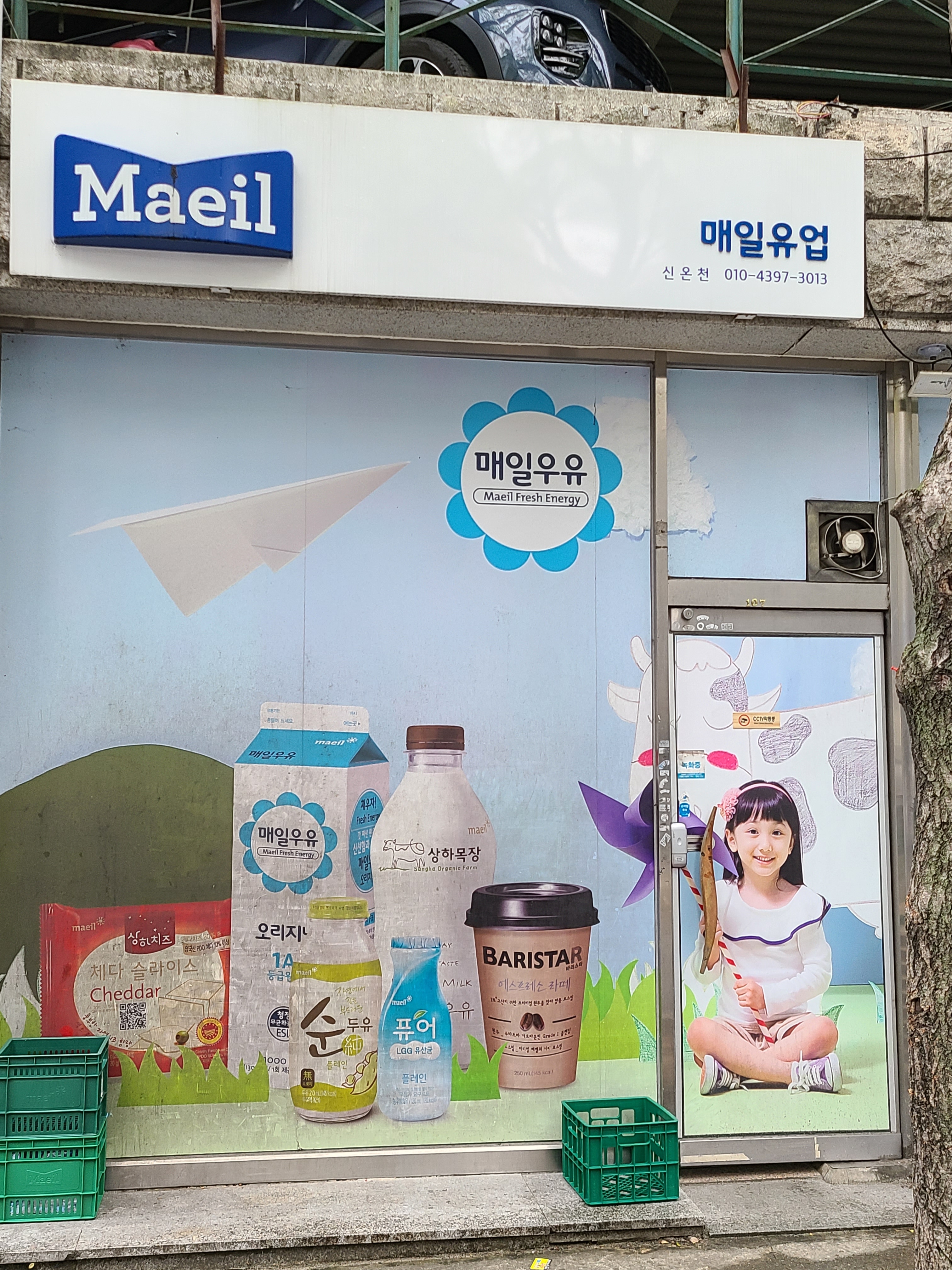 매일유업 신온천대리점
