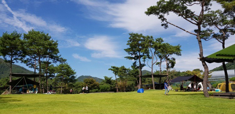 사진 2