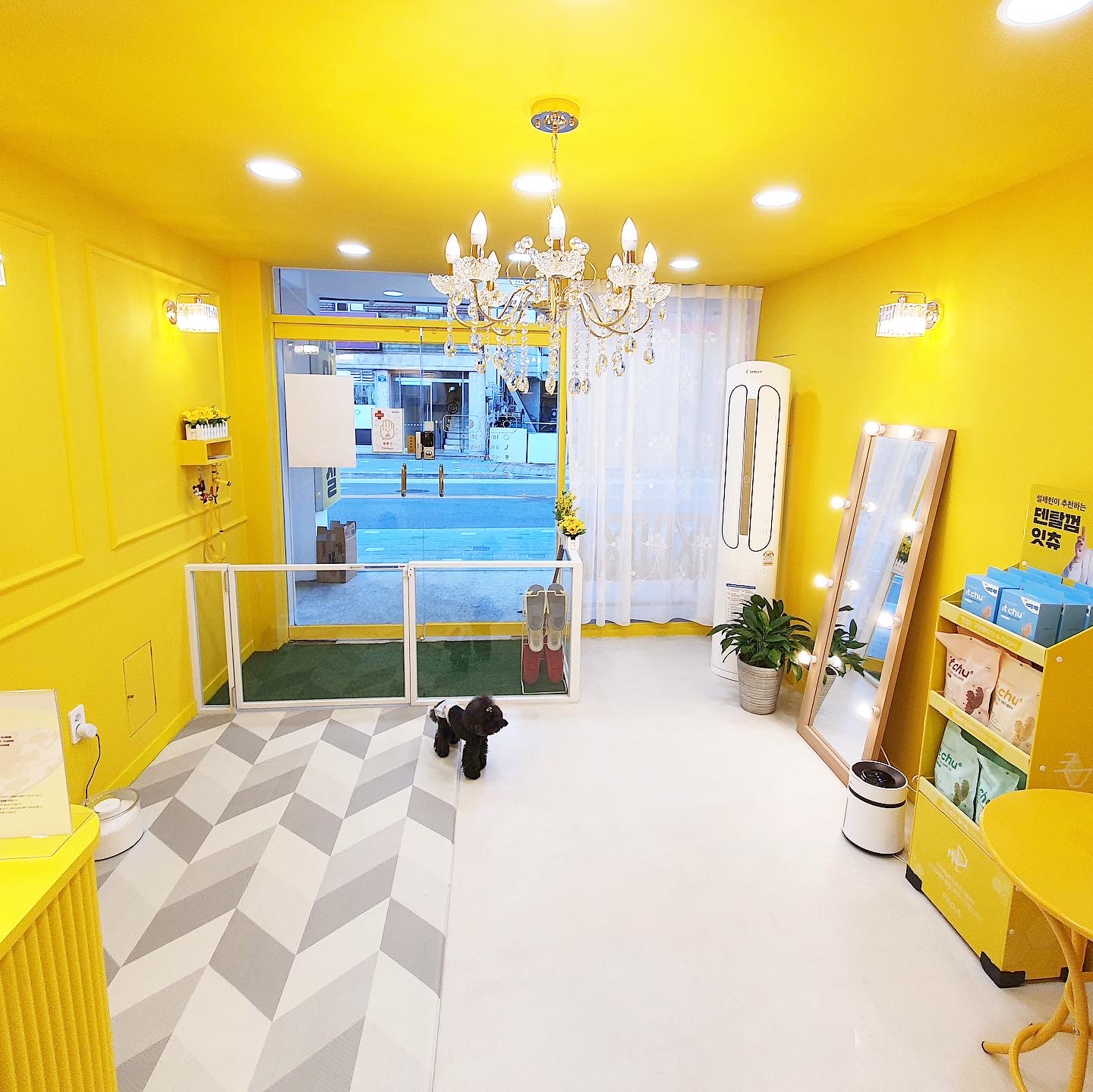 마리네 애견미용실 대표 이미지