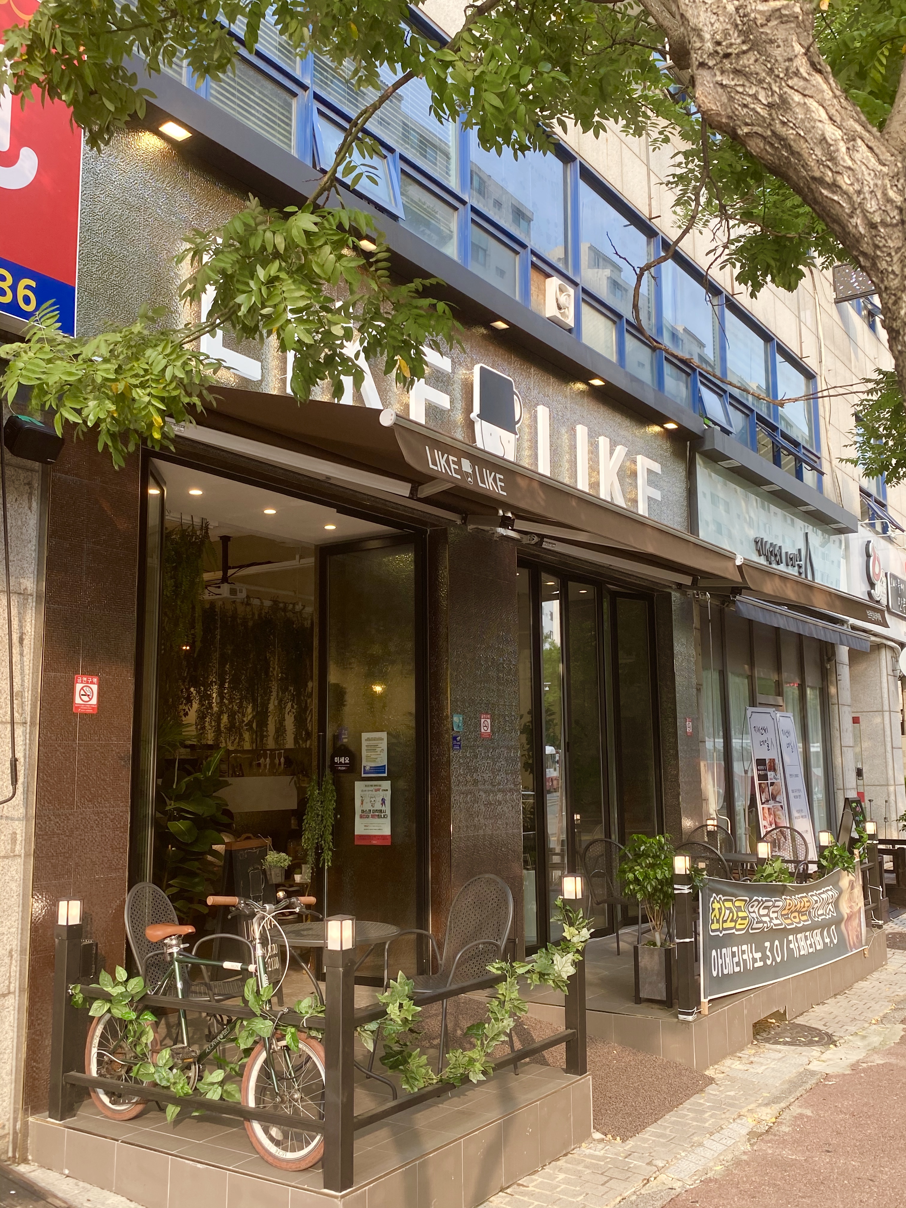 라이크라이크 일산주엽점 반려동물 동반 애견카페
