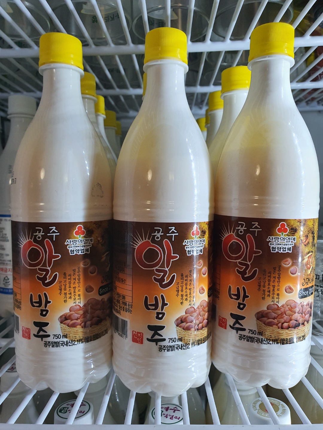 한사발의꿈