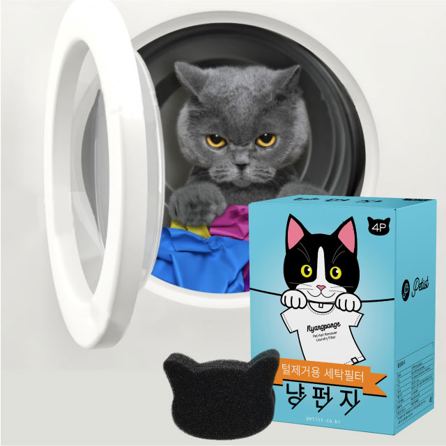 주변 가볼만한 곳