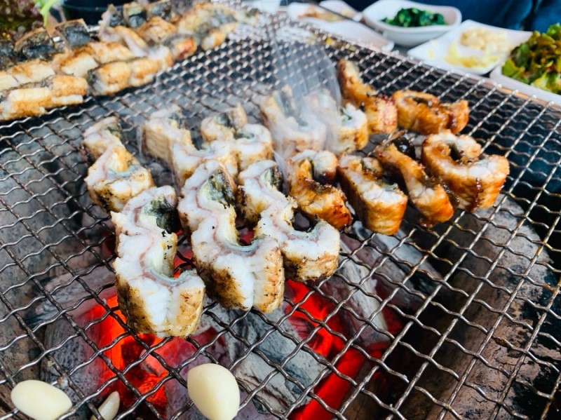 청목장어