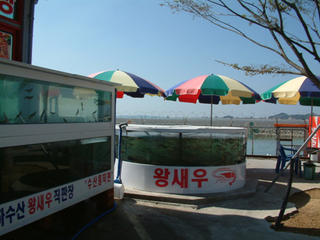 어촌