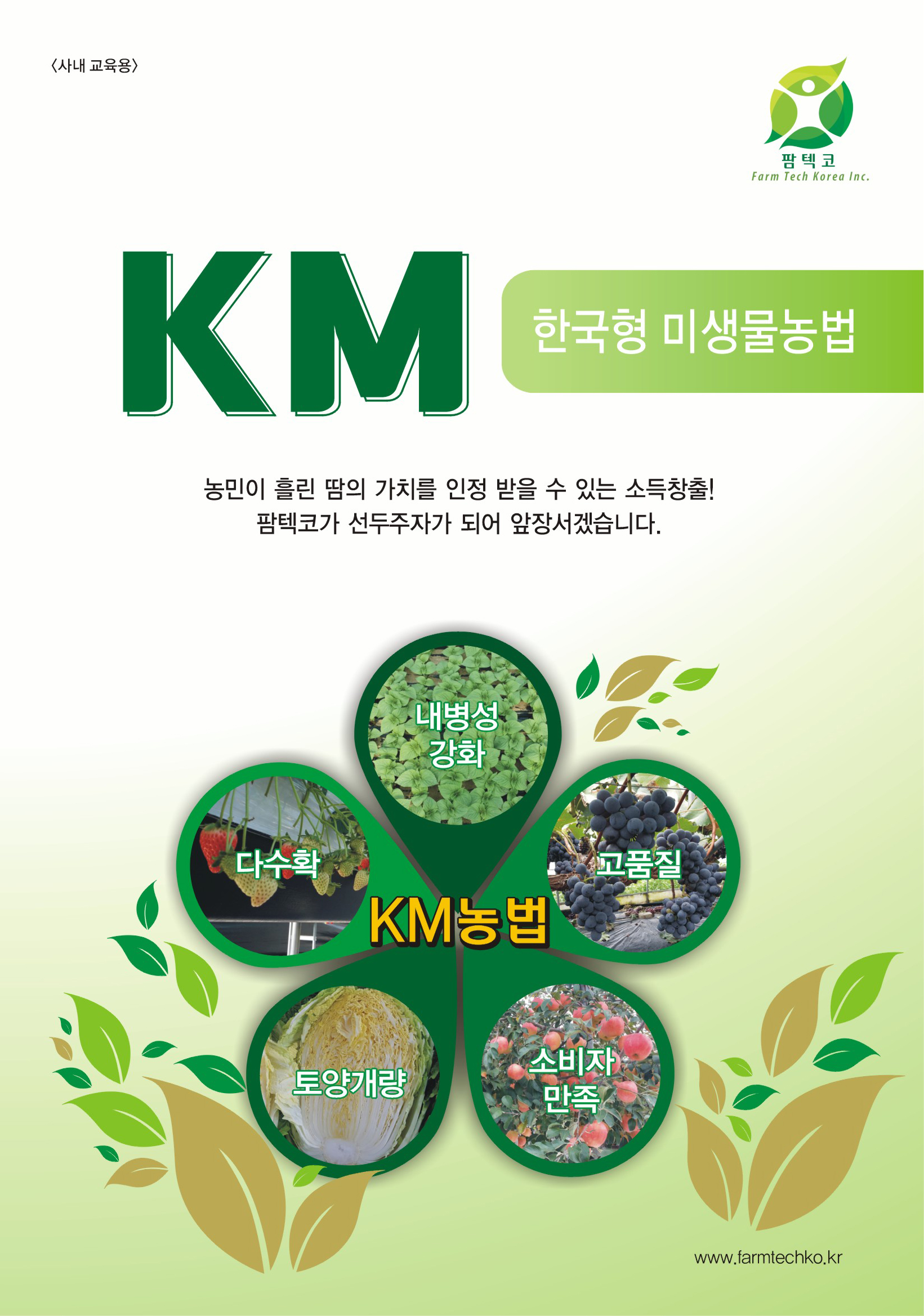 팜텍코