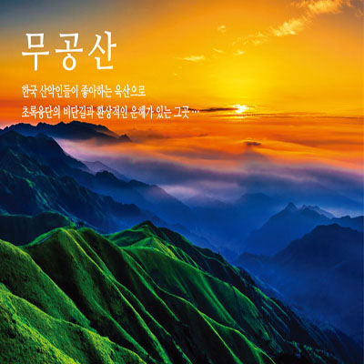여행투어