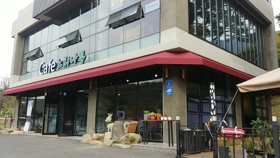느티나무네 경기 애견맛집
