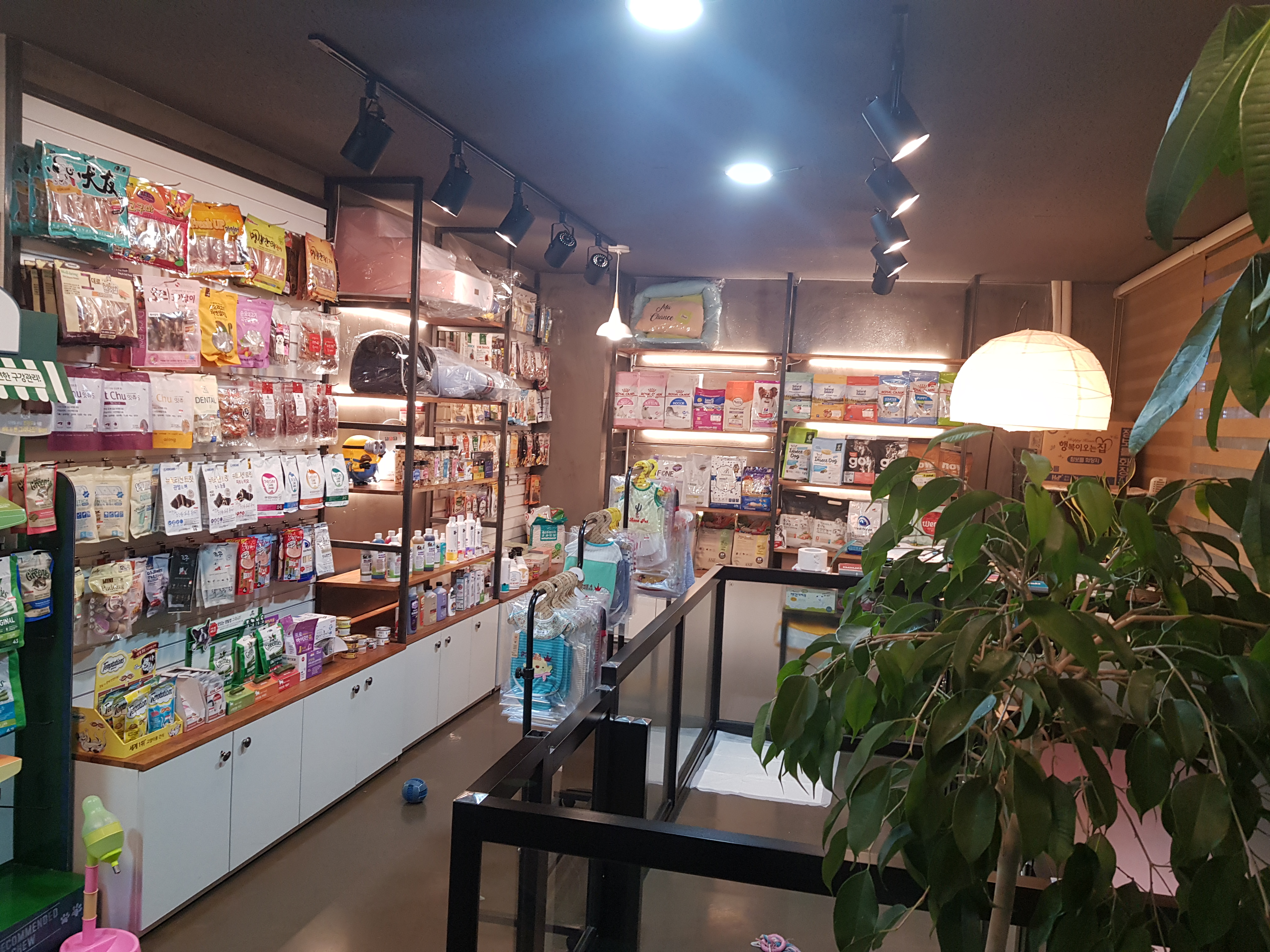 마이펫 대표 이미지