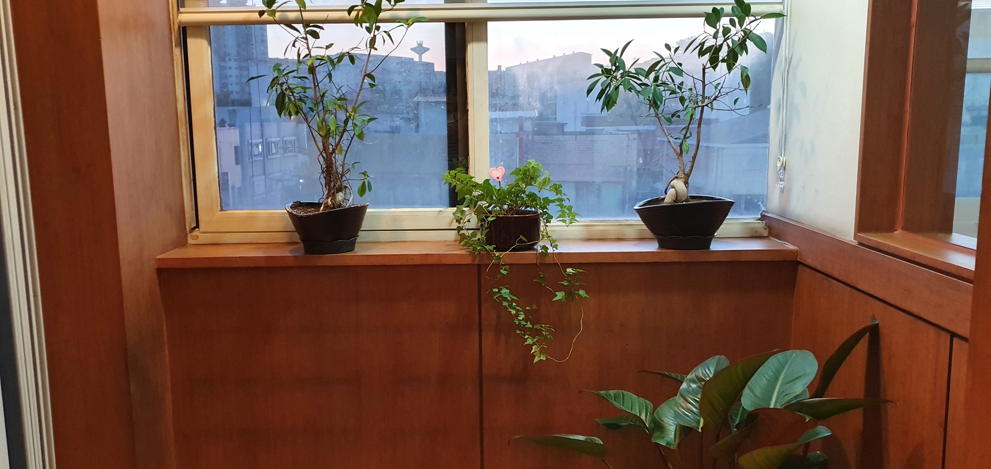 해달요가명상 대표 이미지