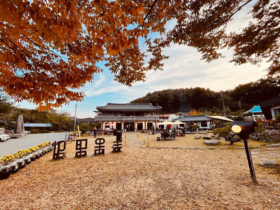 높은댕이 충청 애견맛집