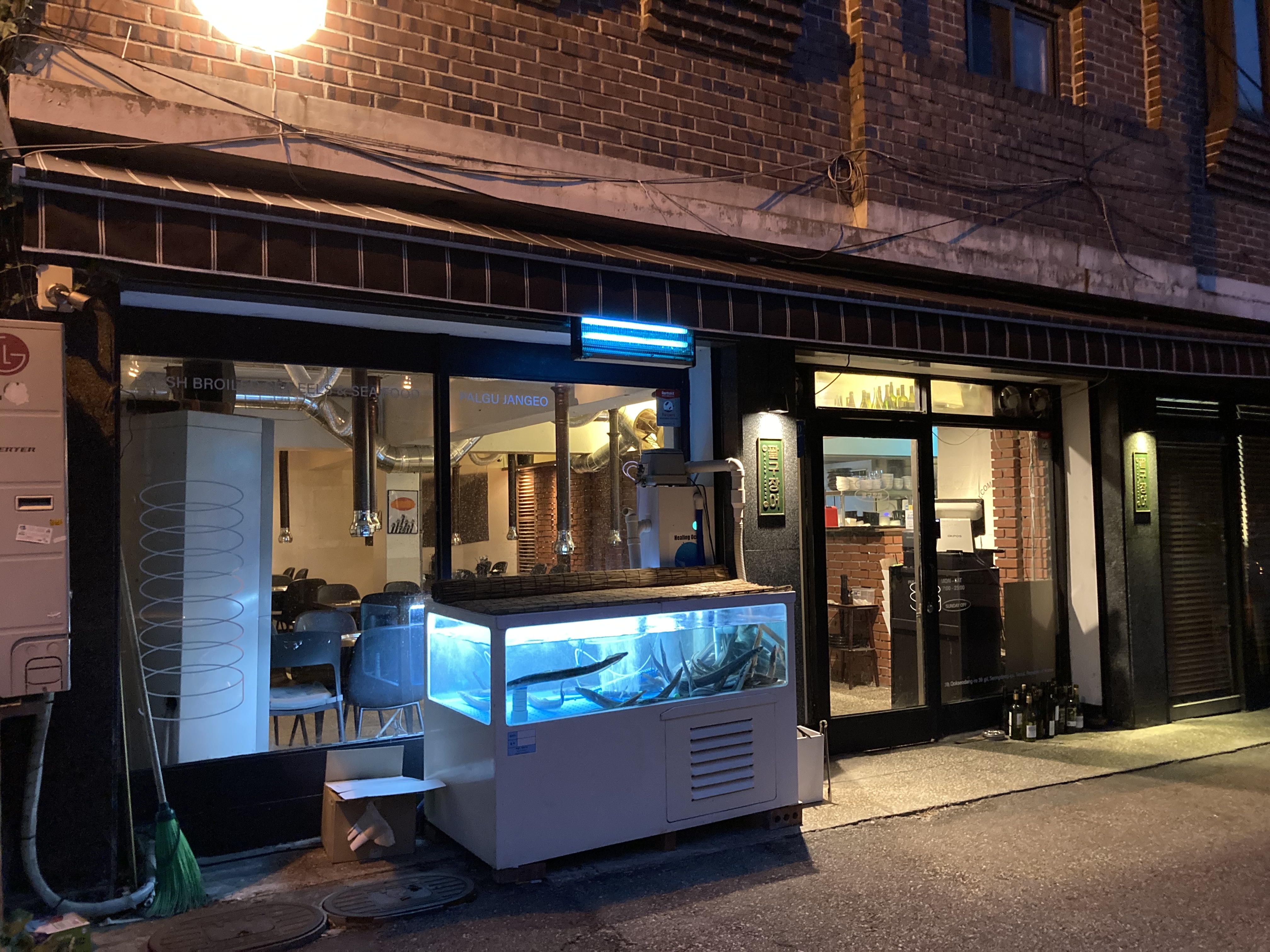 팔구장어