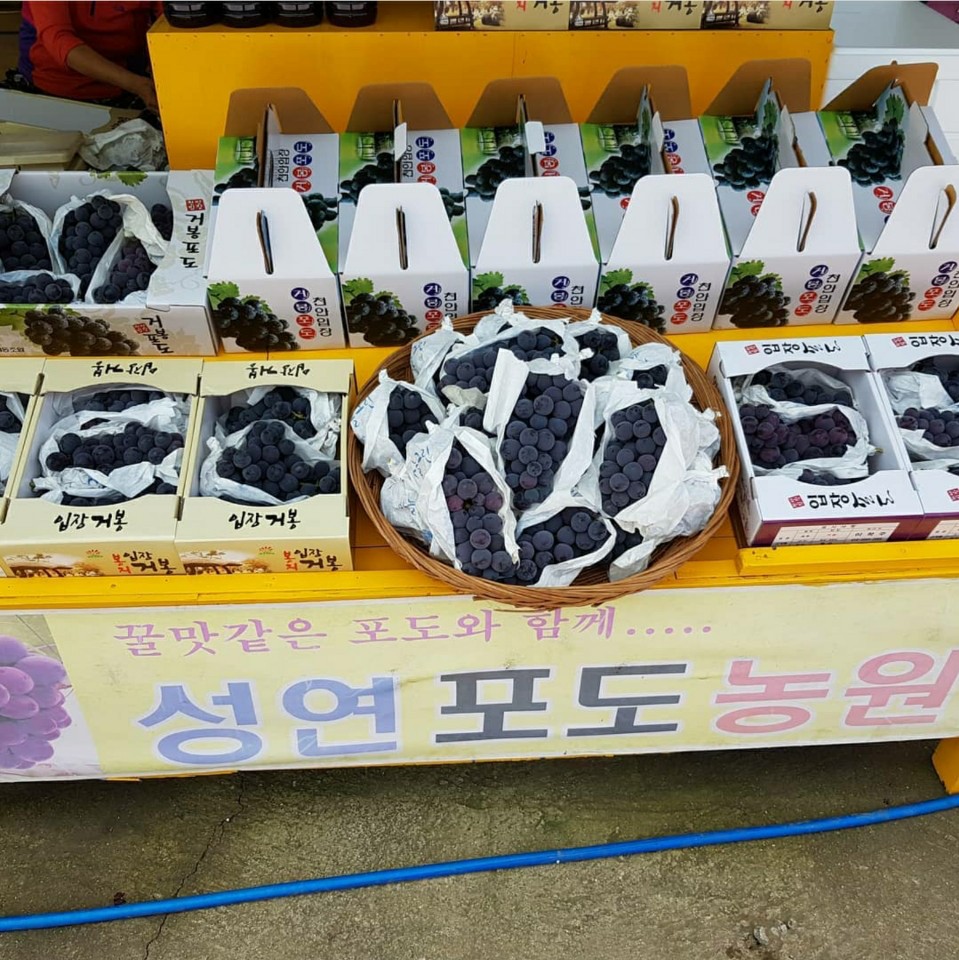 성연포도농원직판장
