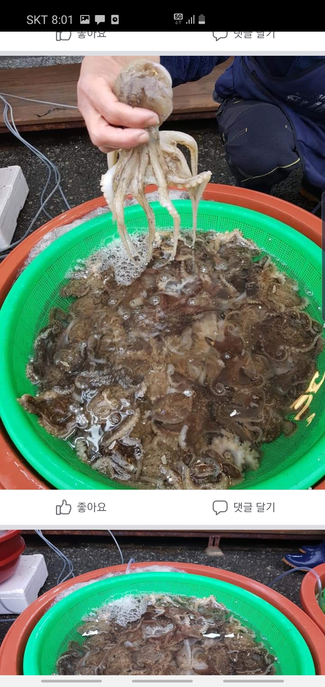 제이비씨유통유한