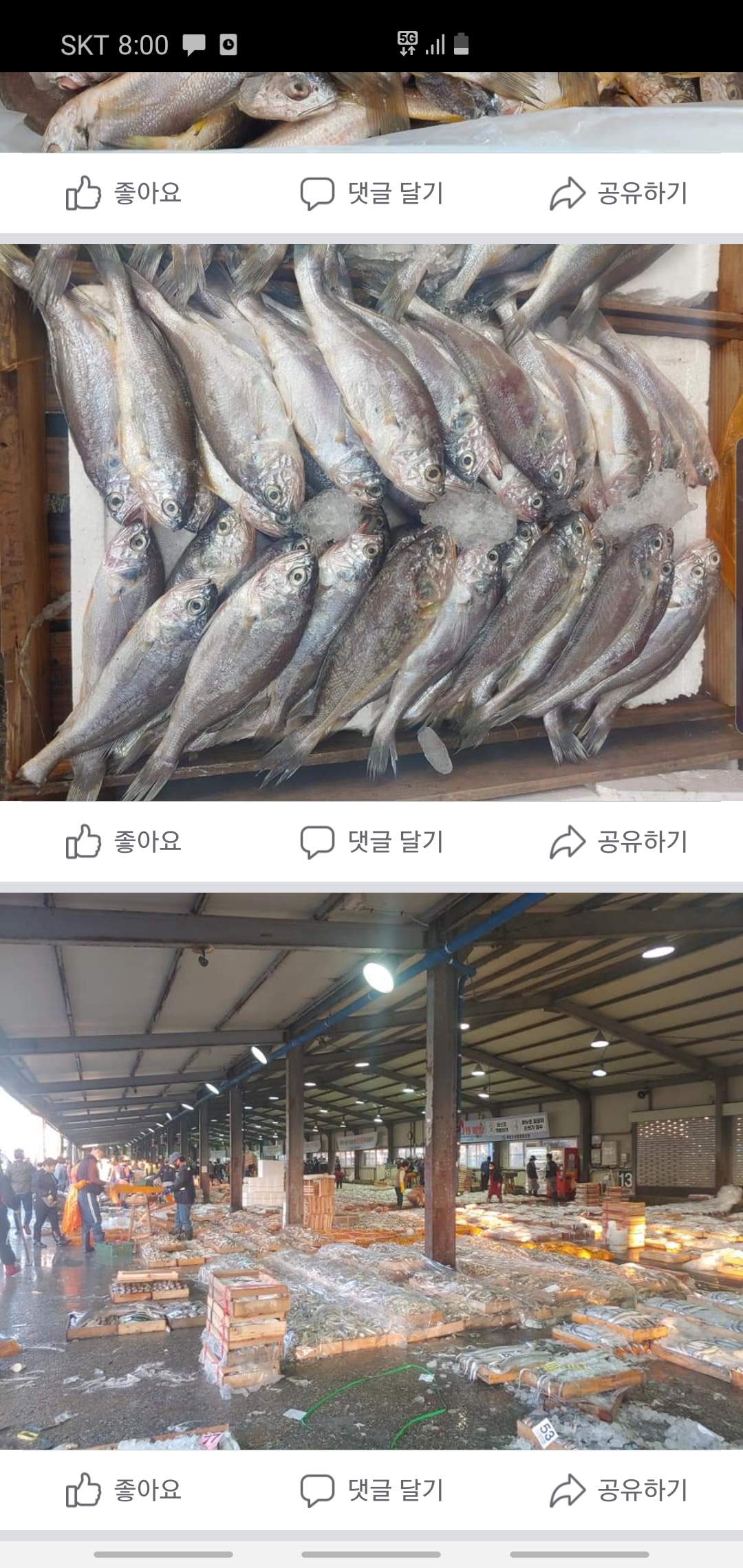 제이비씨유통유한