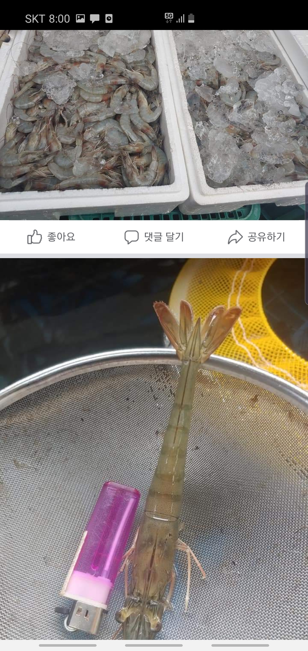 제이비씨유통유한