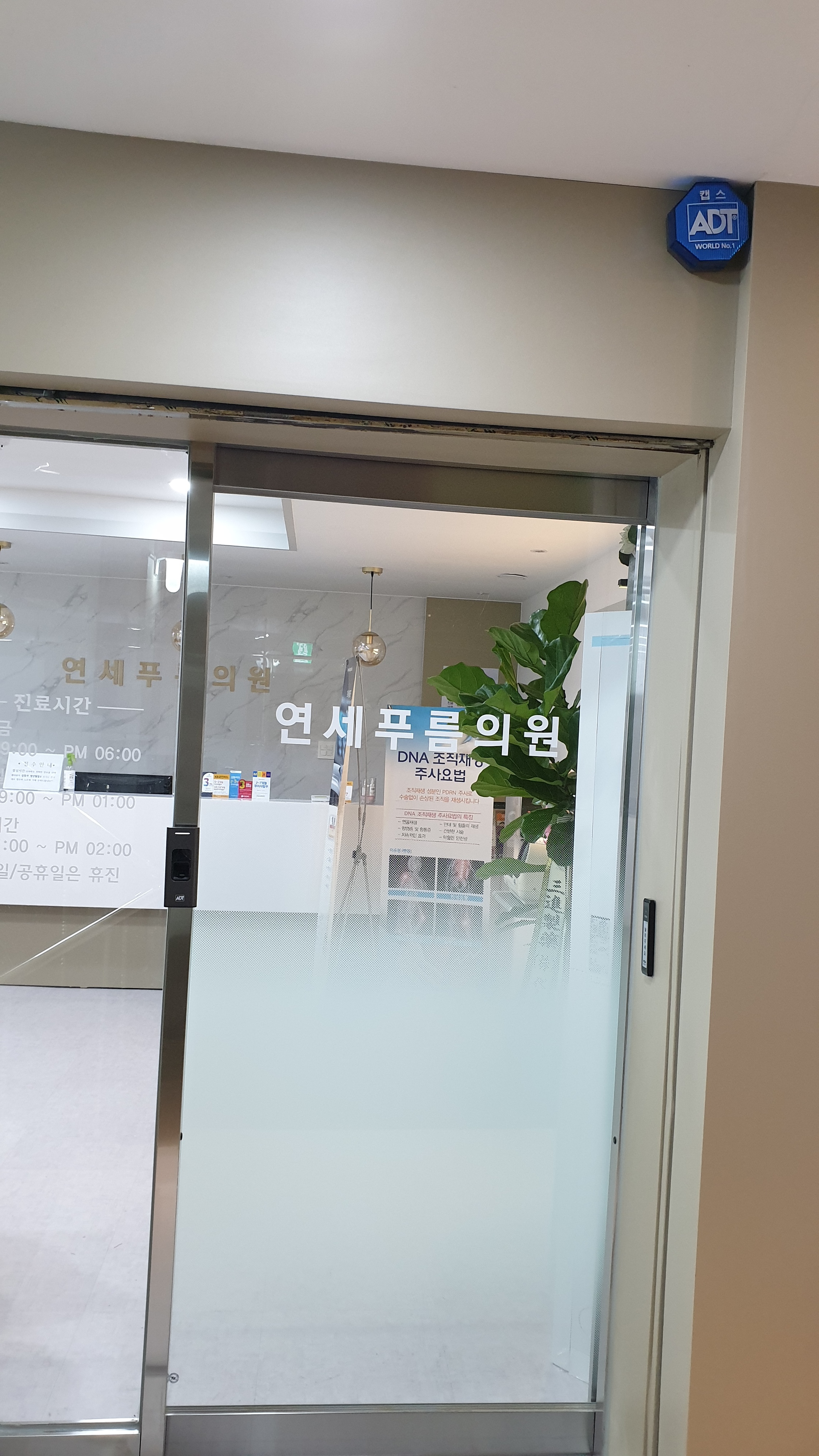 연세푸름의원 대표 이미지