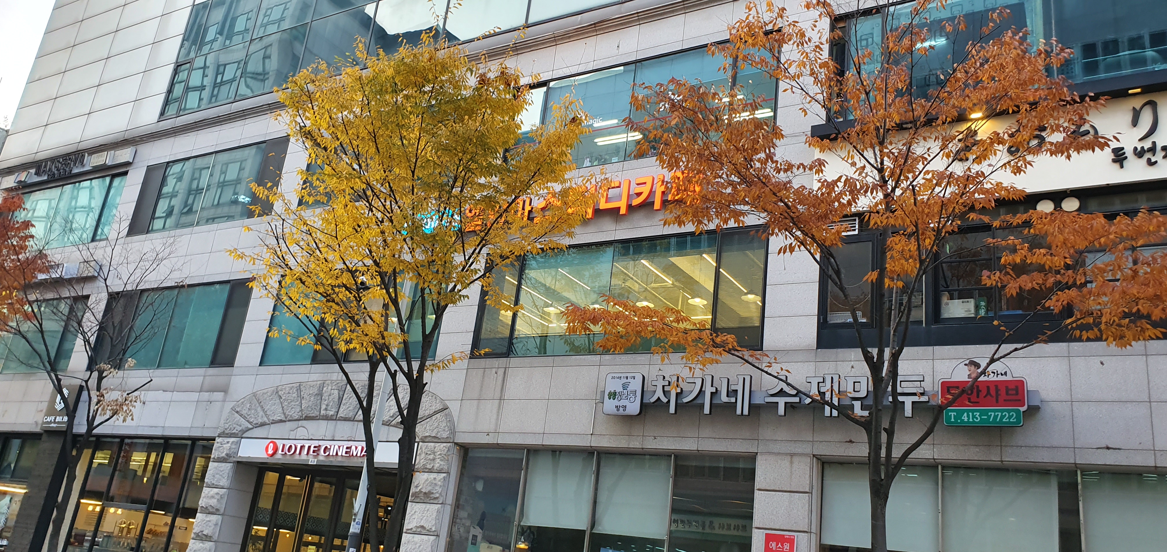 엘알마스터디카페 안산호수점
