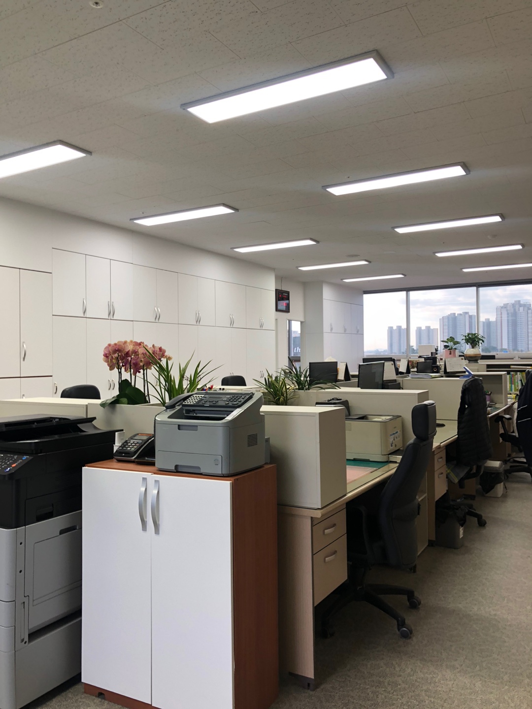 세무법인한맘 대표 이미지