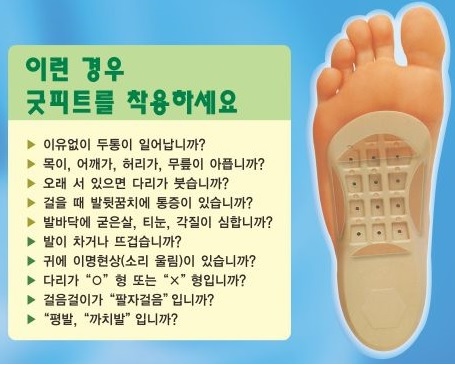 굿피트코리아