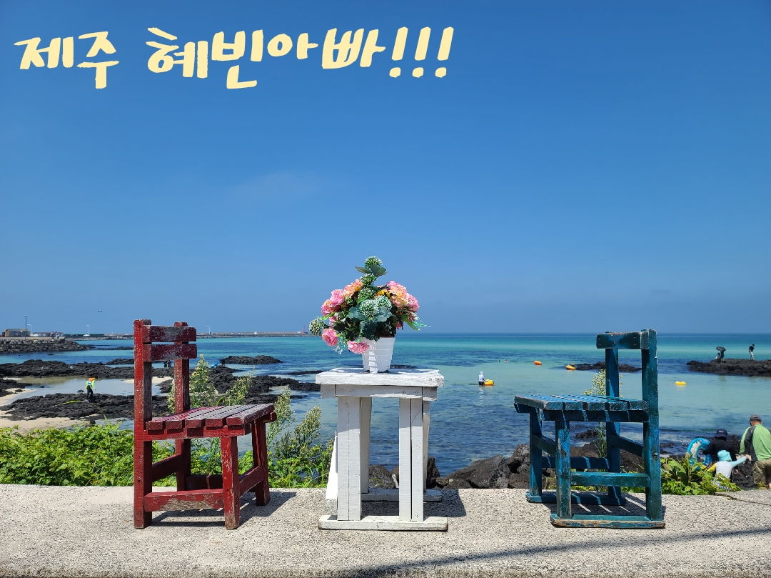 푸른섬제주여행사