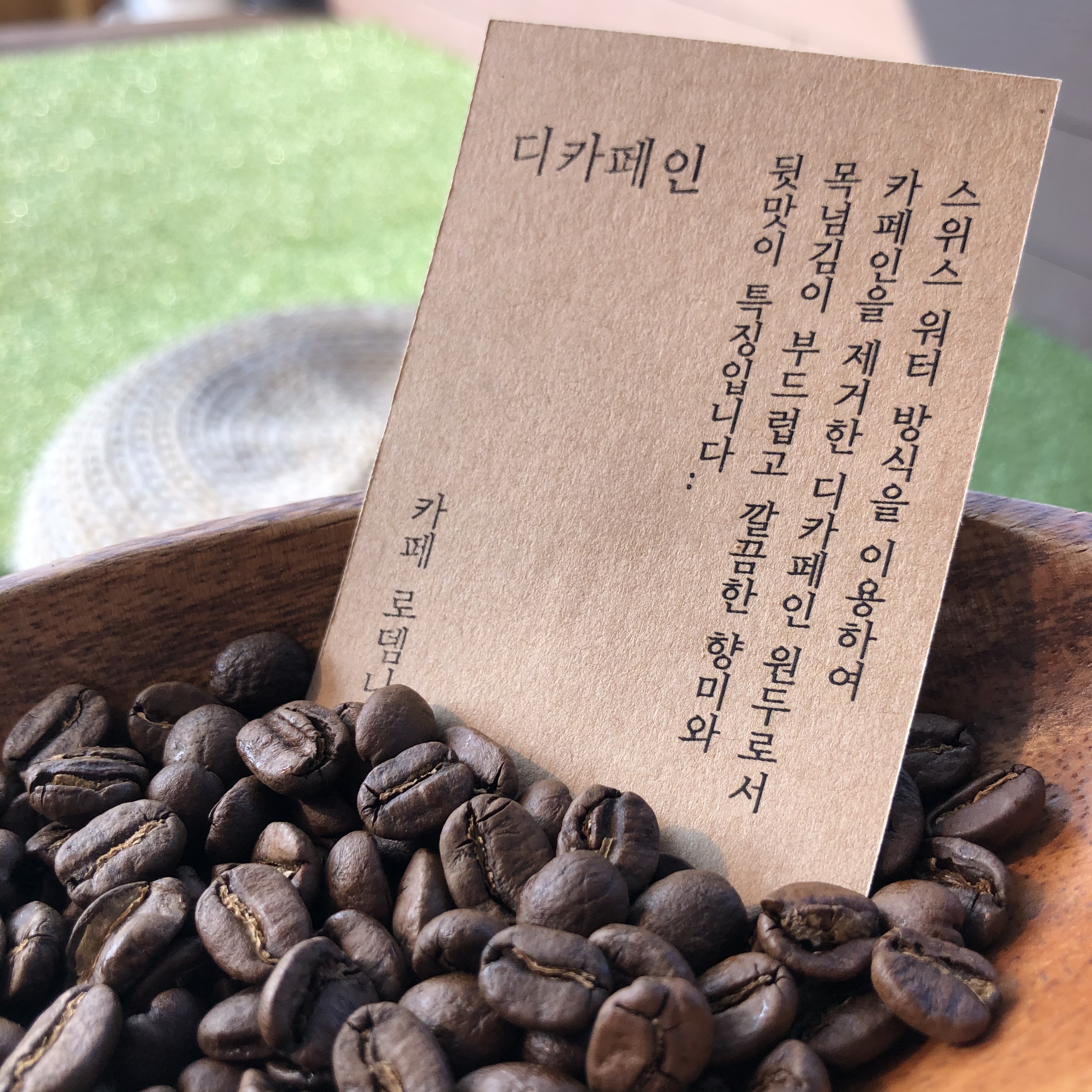 카페로뎀나무 경상 애견맛집