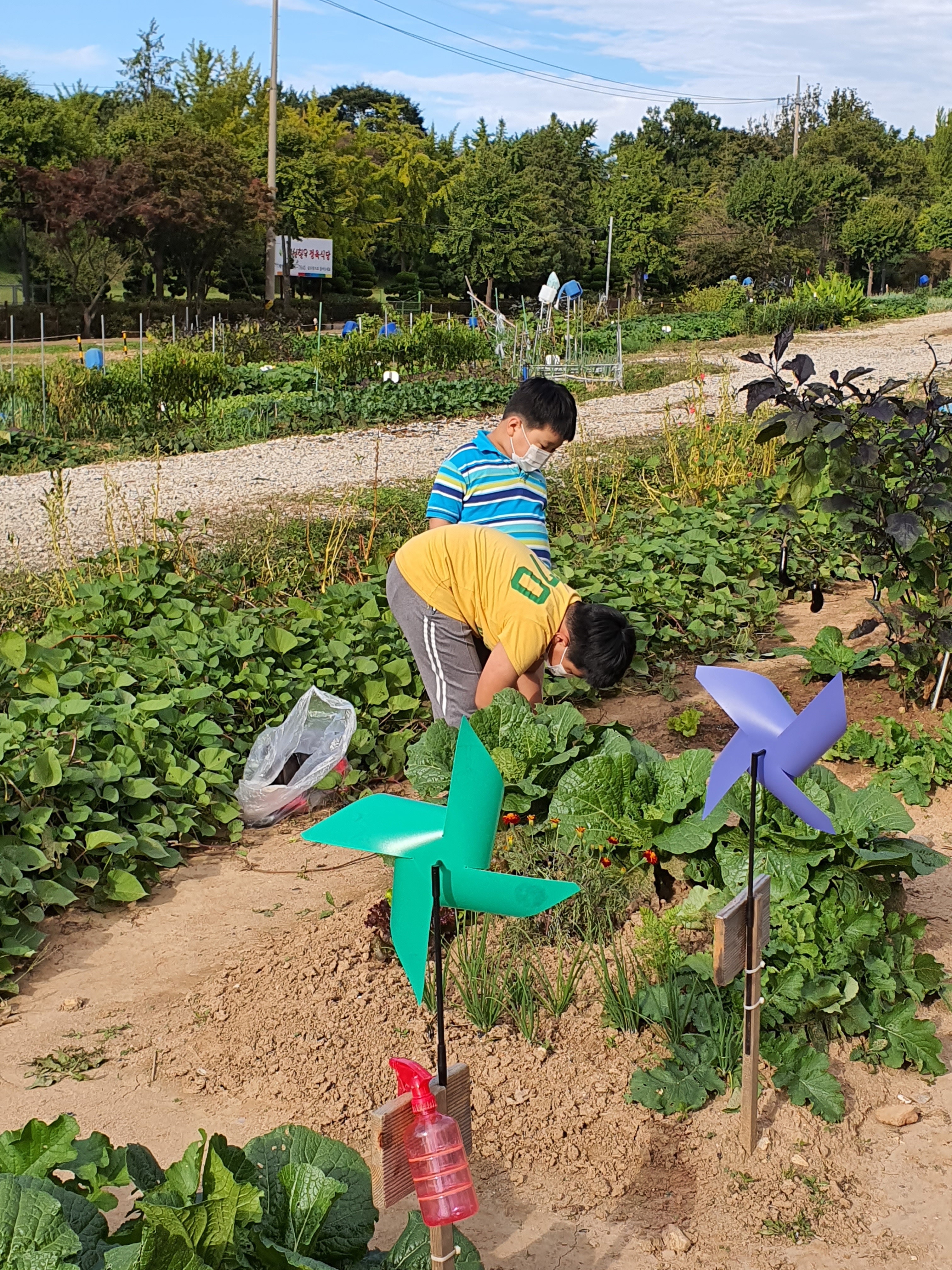 텃밭보급소